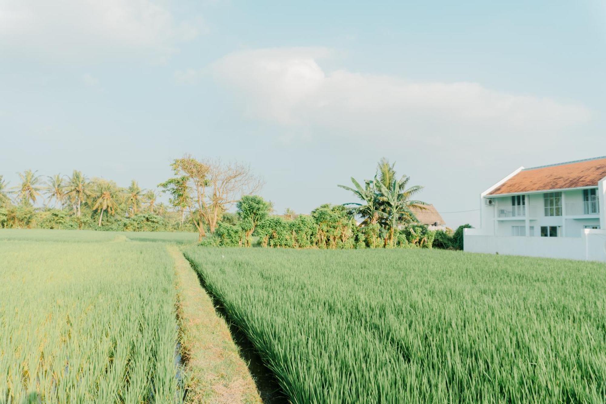 Vila Ikin Ubud (Bali)