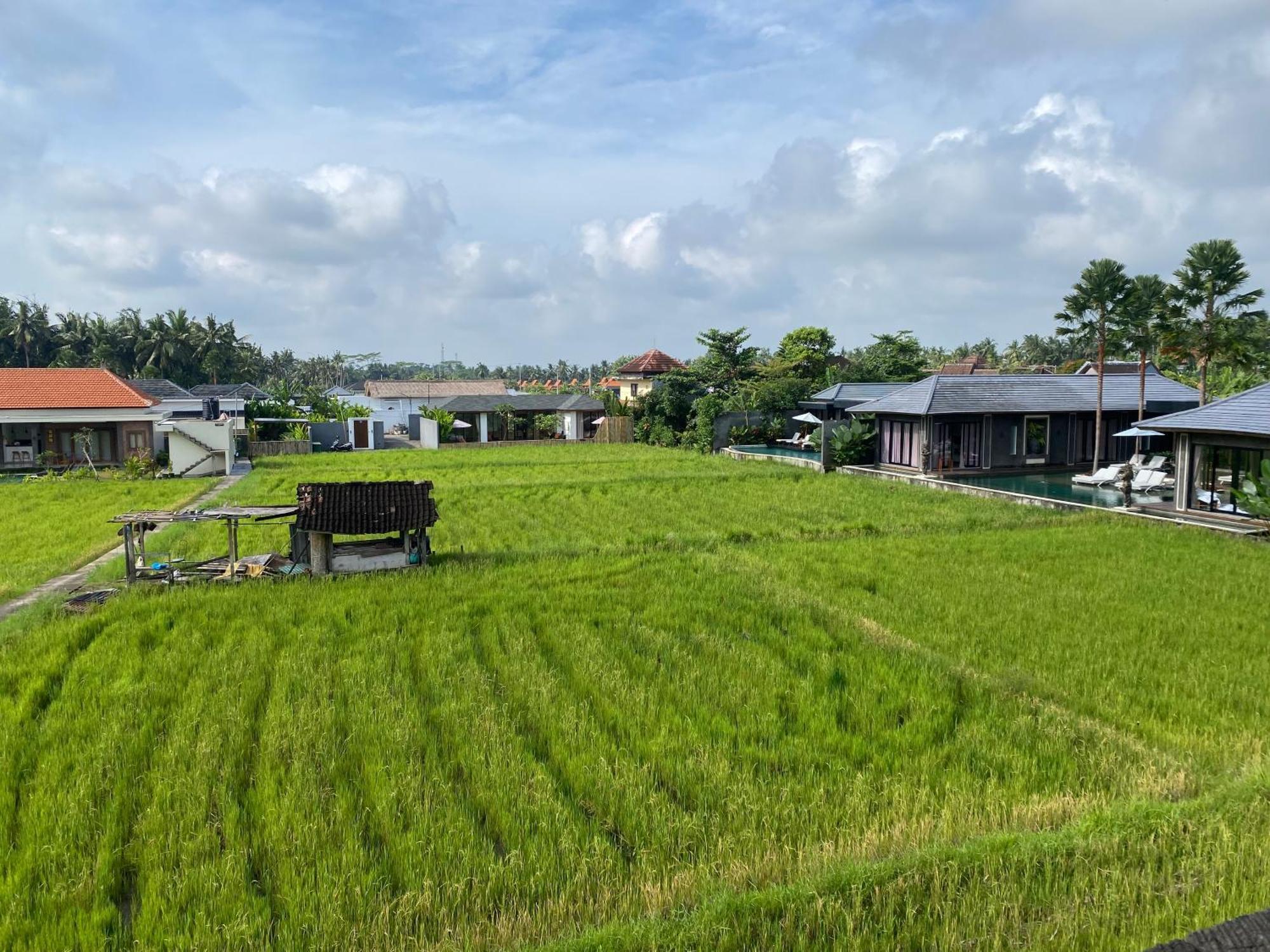 Komang Ketut Ubud (Bali)