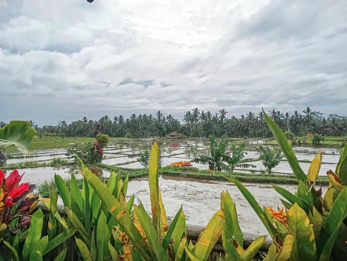 Nyoman Sandat House 1 * Ubud (Bali)