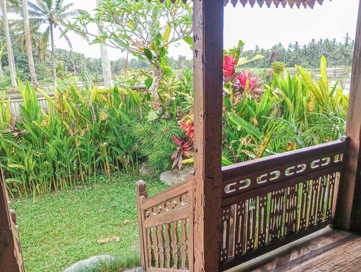 Nyoman Sandat House 1