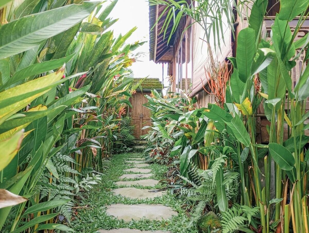 Nyoman Sandat House 1 Villa Ubud (Bali)