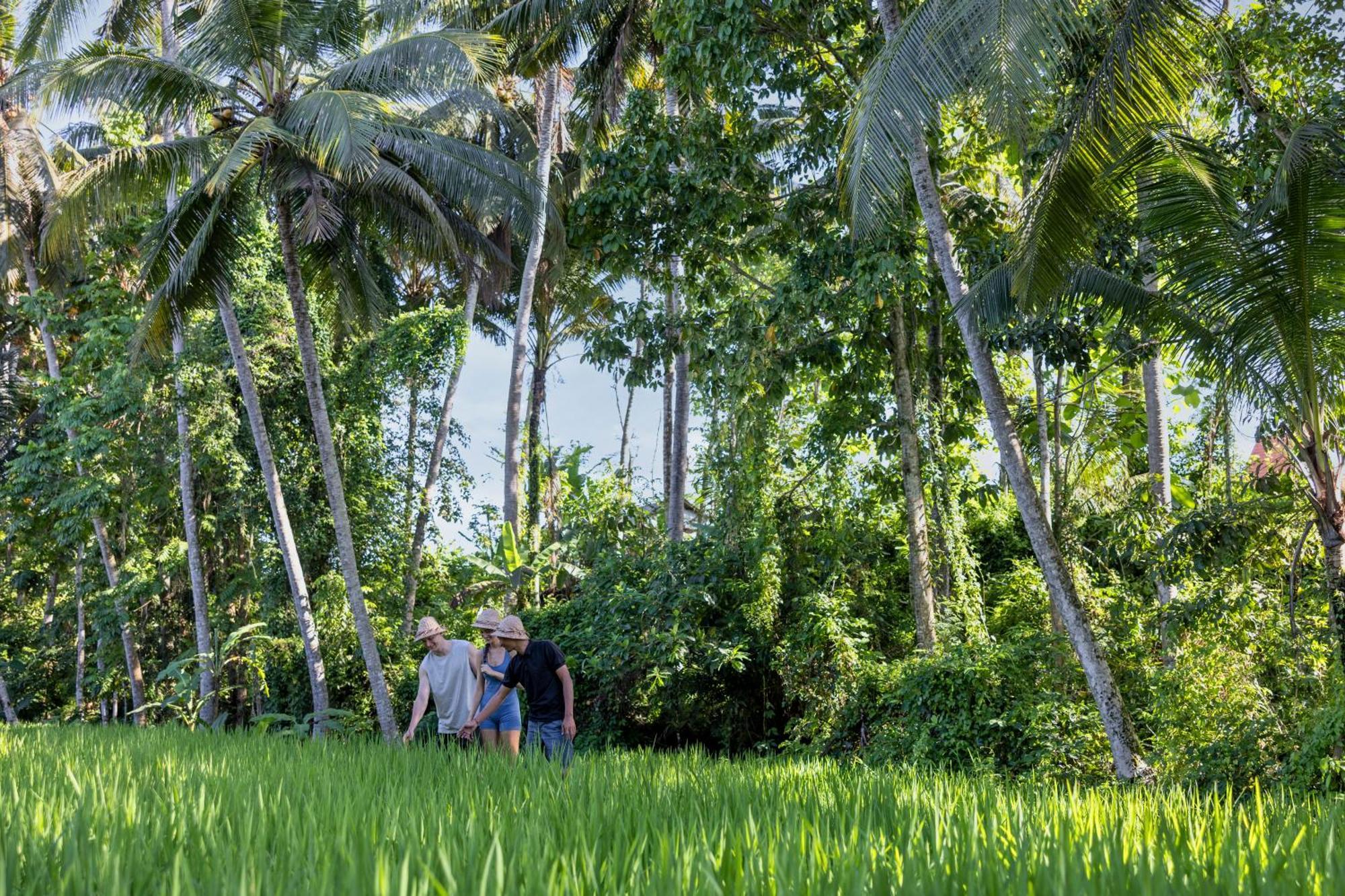 Villa Kanhara By Pramana Ubud (Bali)