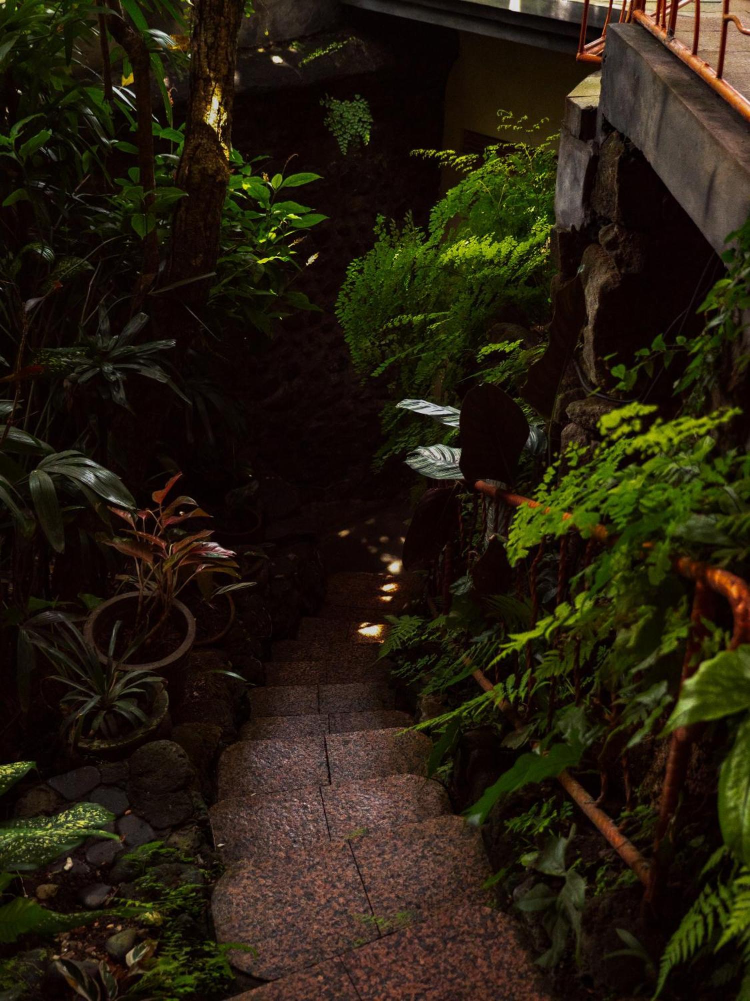 Heaven View 9 Bedroom Nature Visuals Sayan Villa Ubud (Bali)