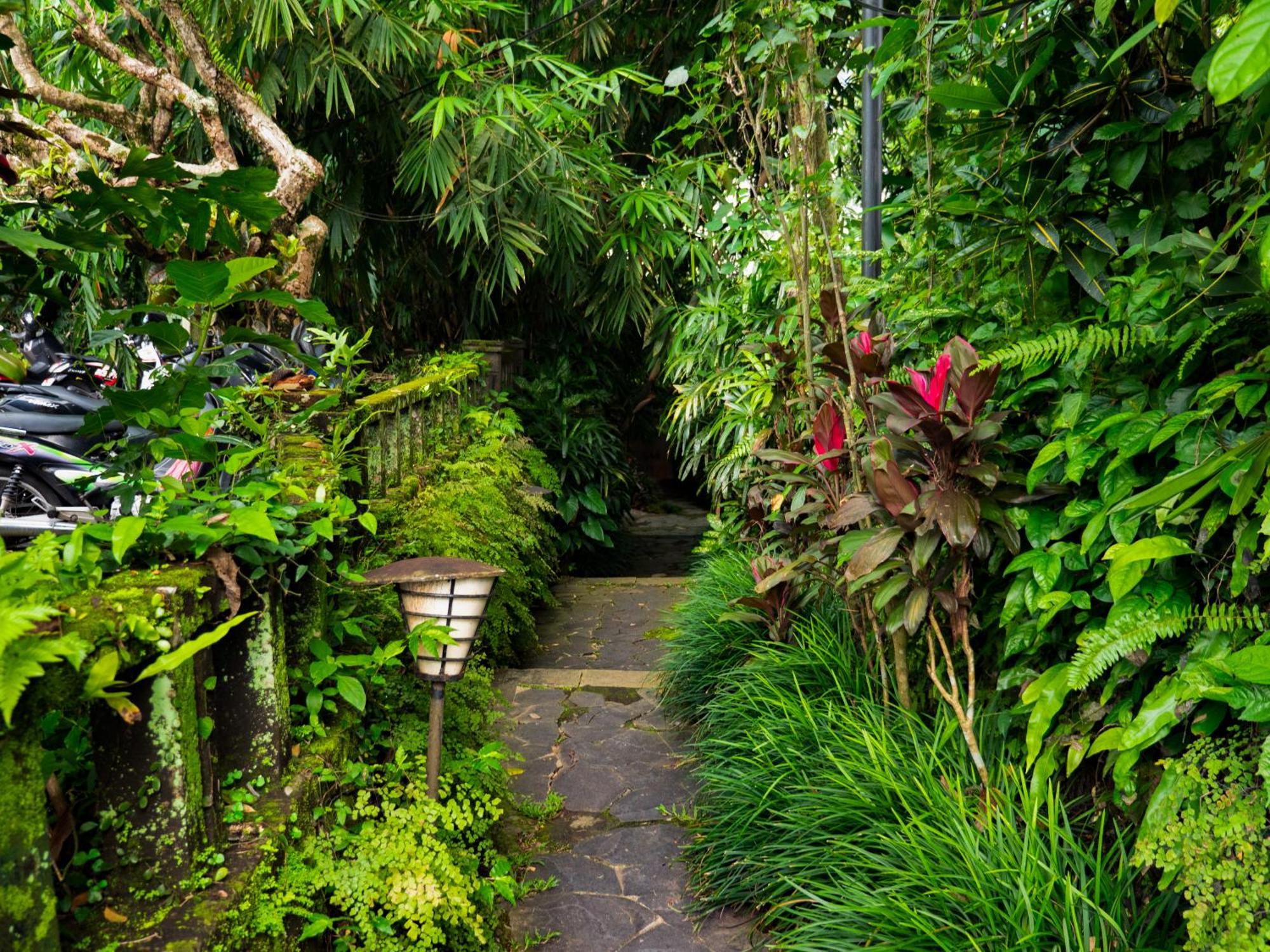 Heaven View 9 Bedroom Nature Visuals Sayan Villa