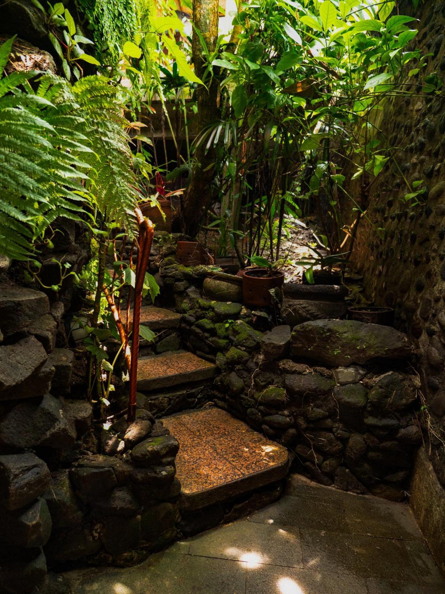 Heaven View 2 Bedroom Sayan Villa Ubud (Bali)