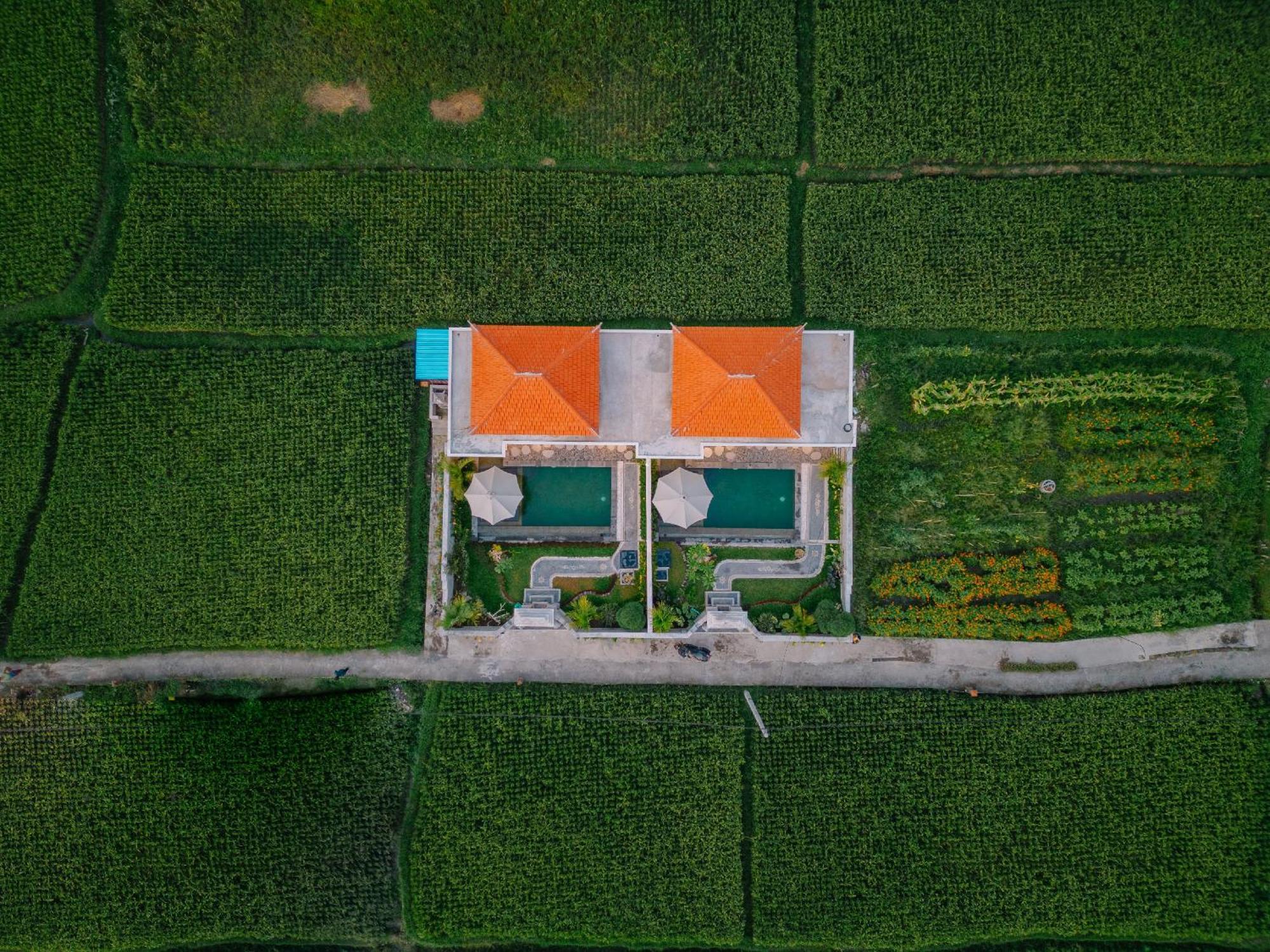 Villa Arca Bali Private Pool *