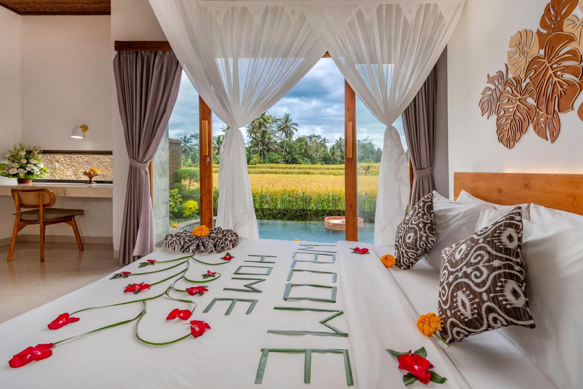 Villa The Alus And