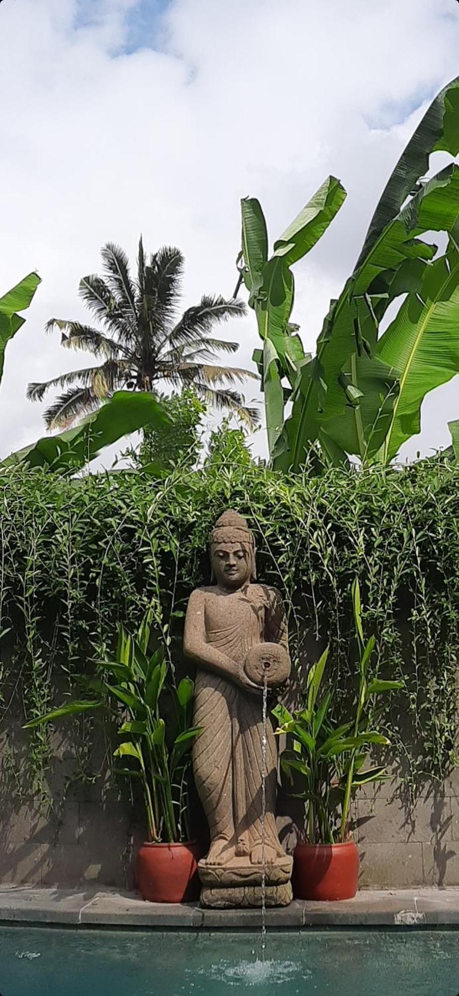 Mb * Ubud (Bali)