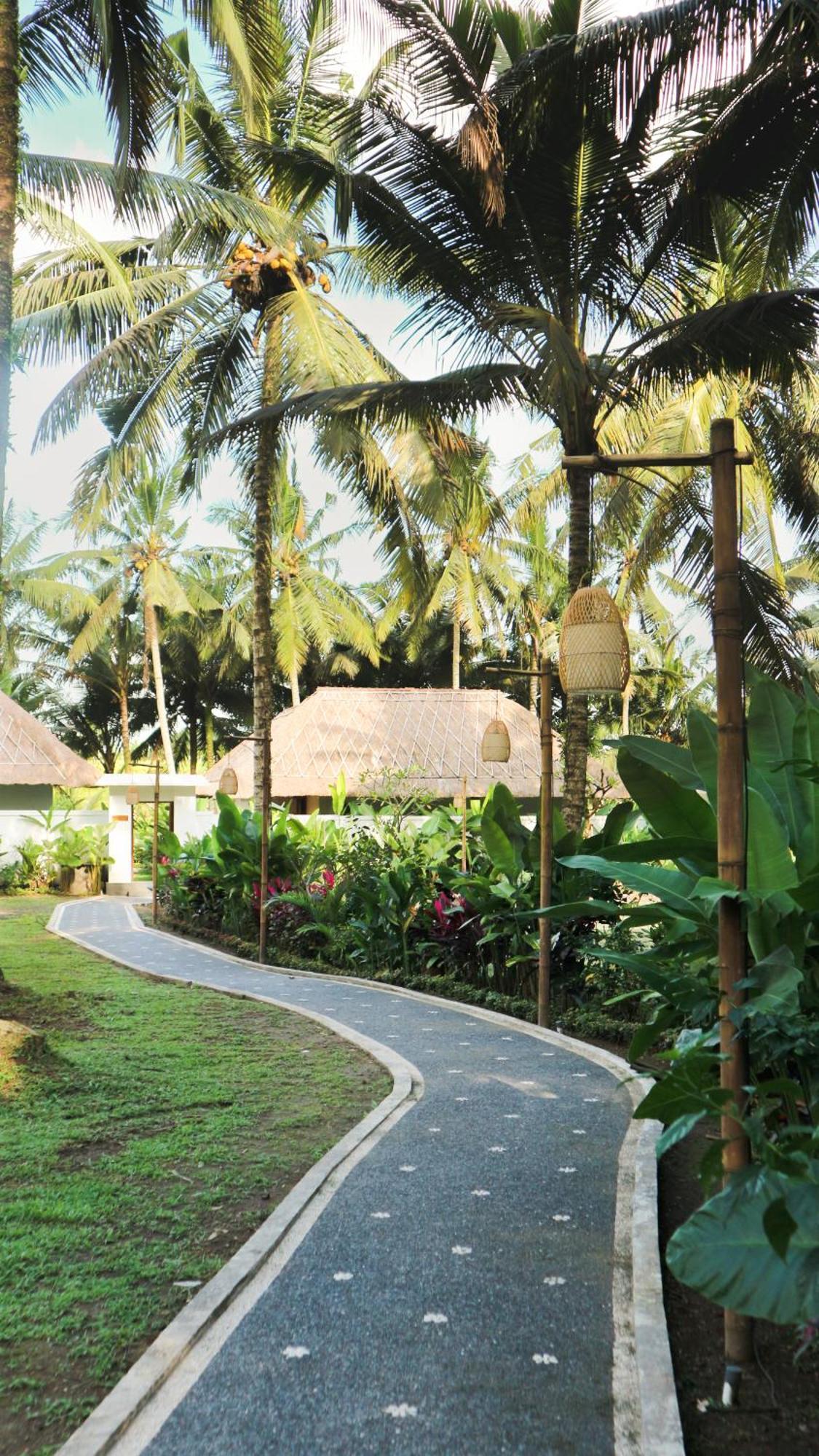 The Lanaya *