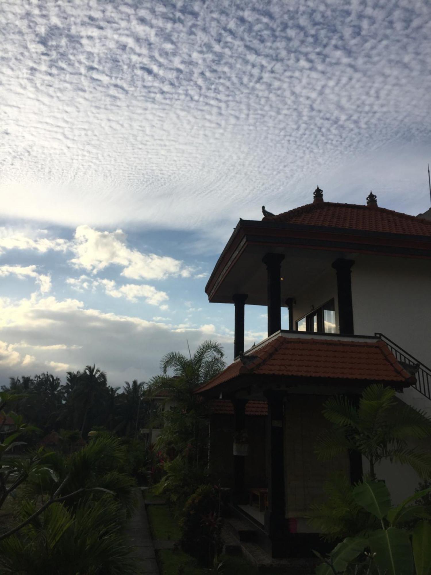 Sari * Ubud (Bali)