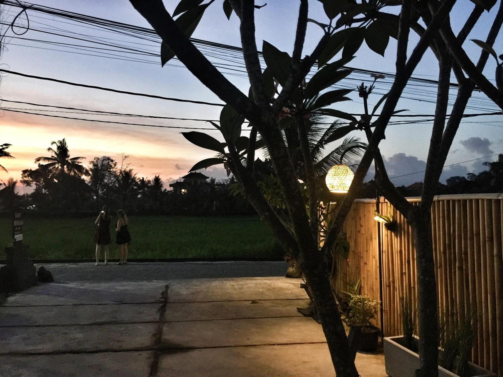 Sari * Ubud (Bali)
