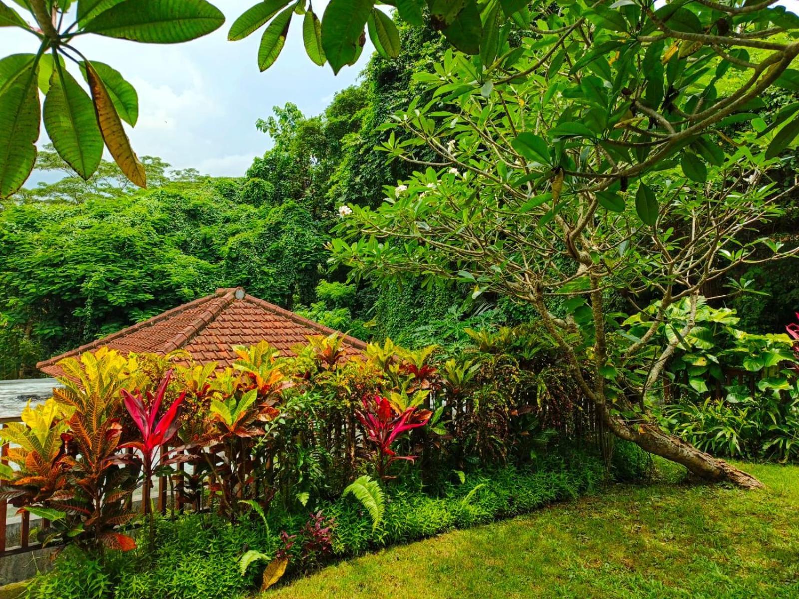 Malathi Private House With Jungle View * Ubud (Bali)