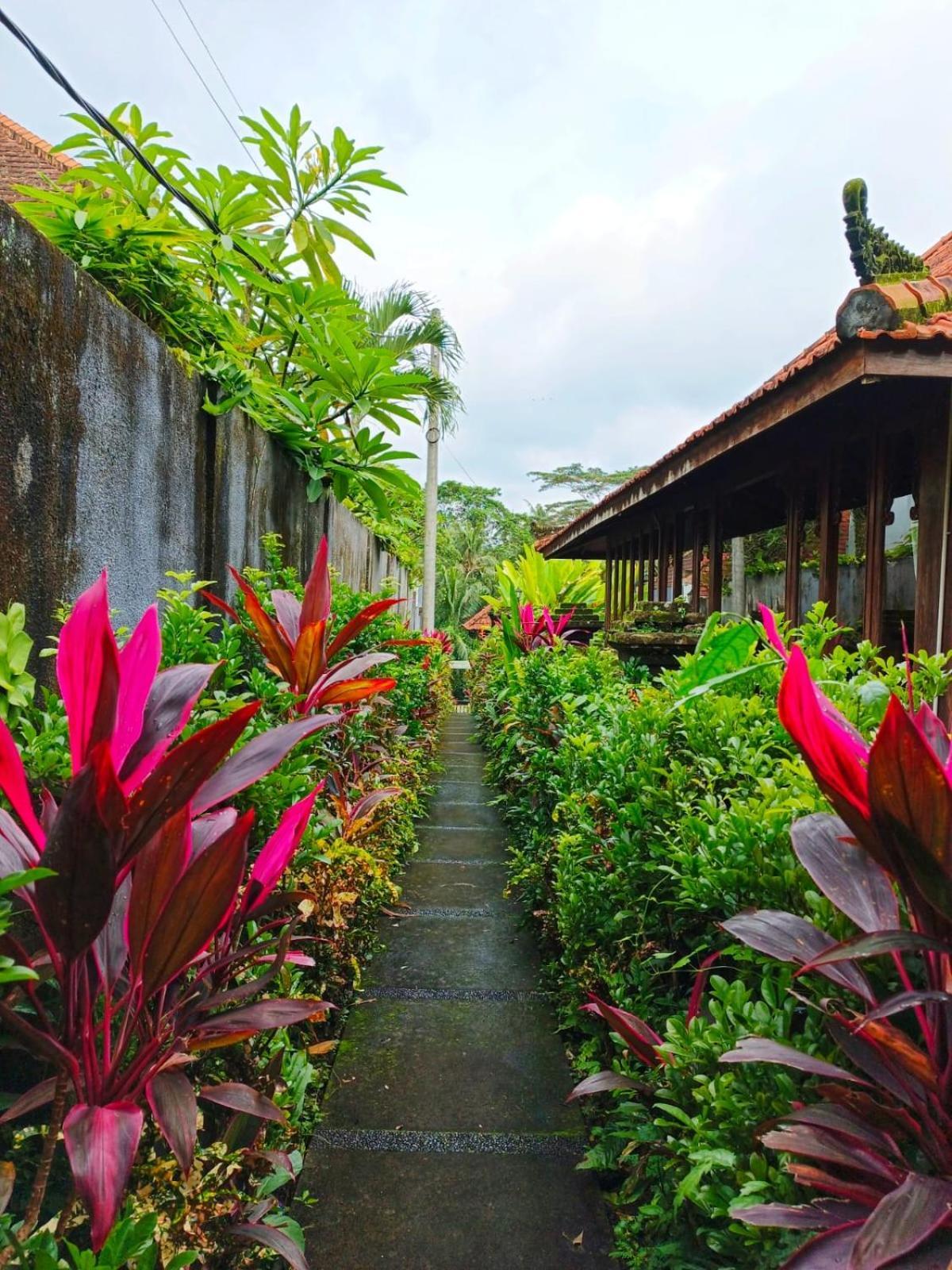 Villa Malathi Private House With Jungle View