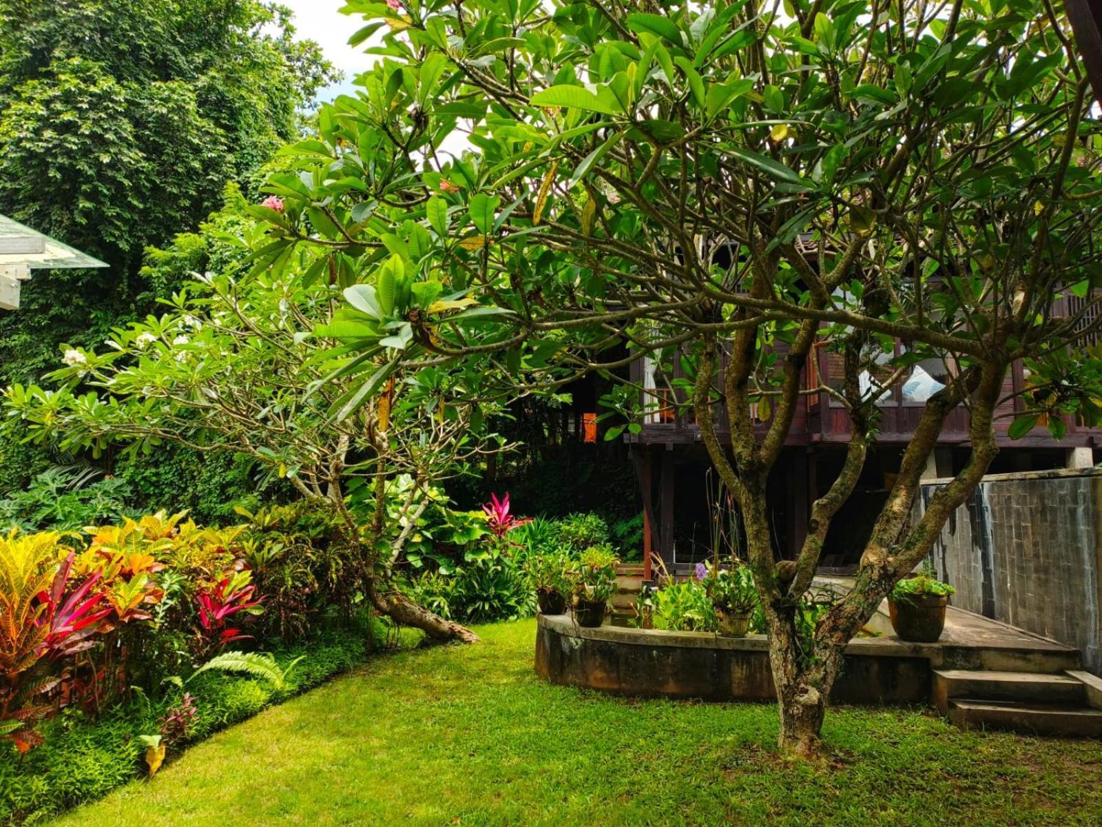 Malathi Private House With Jungle View Villa Ubud (Bali)