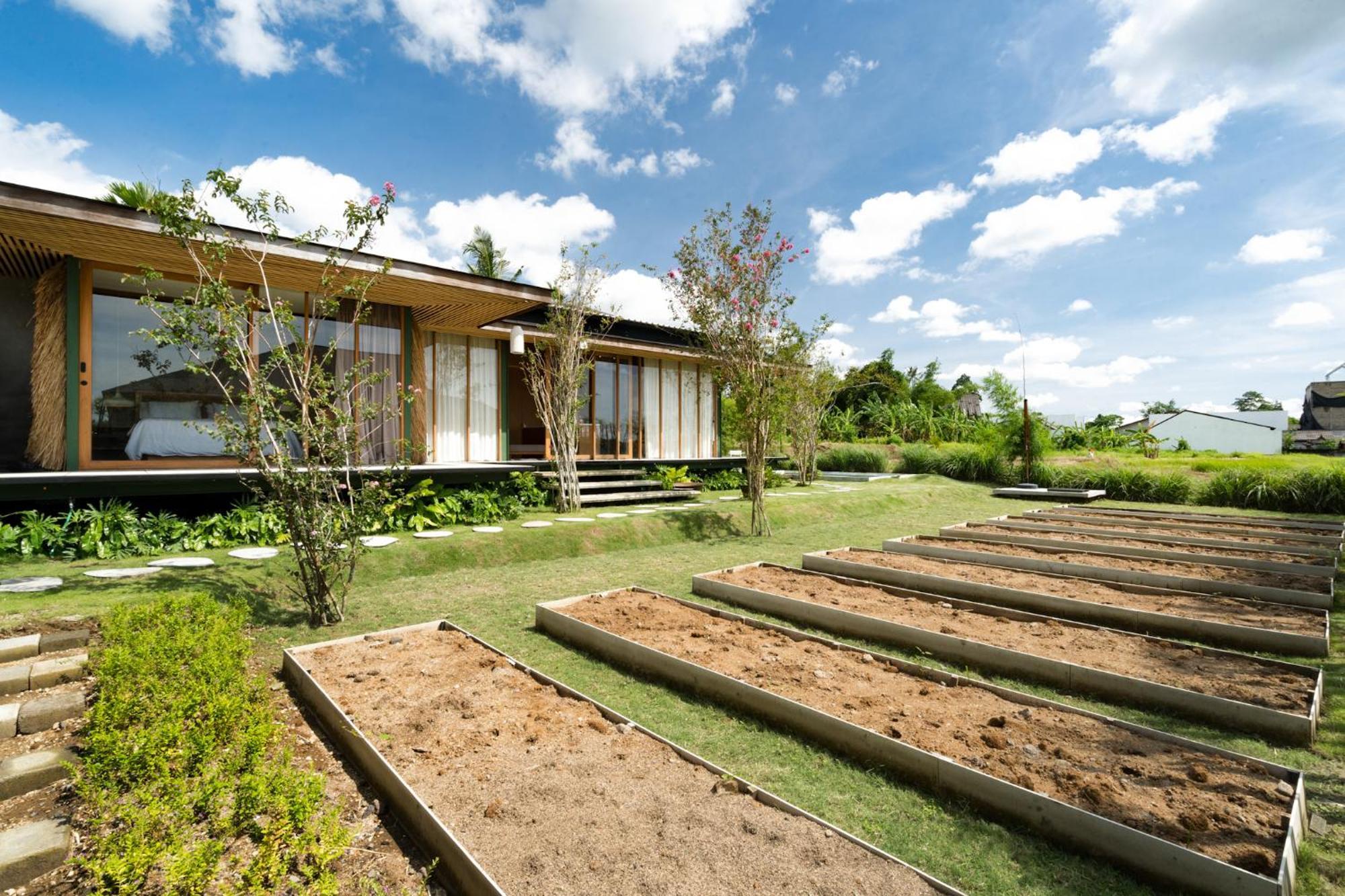 Less House * Ubud (Bali)