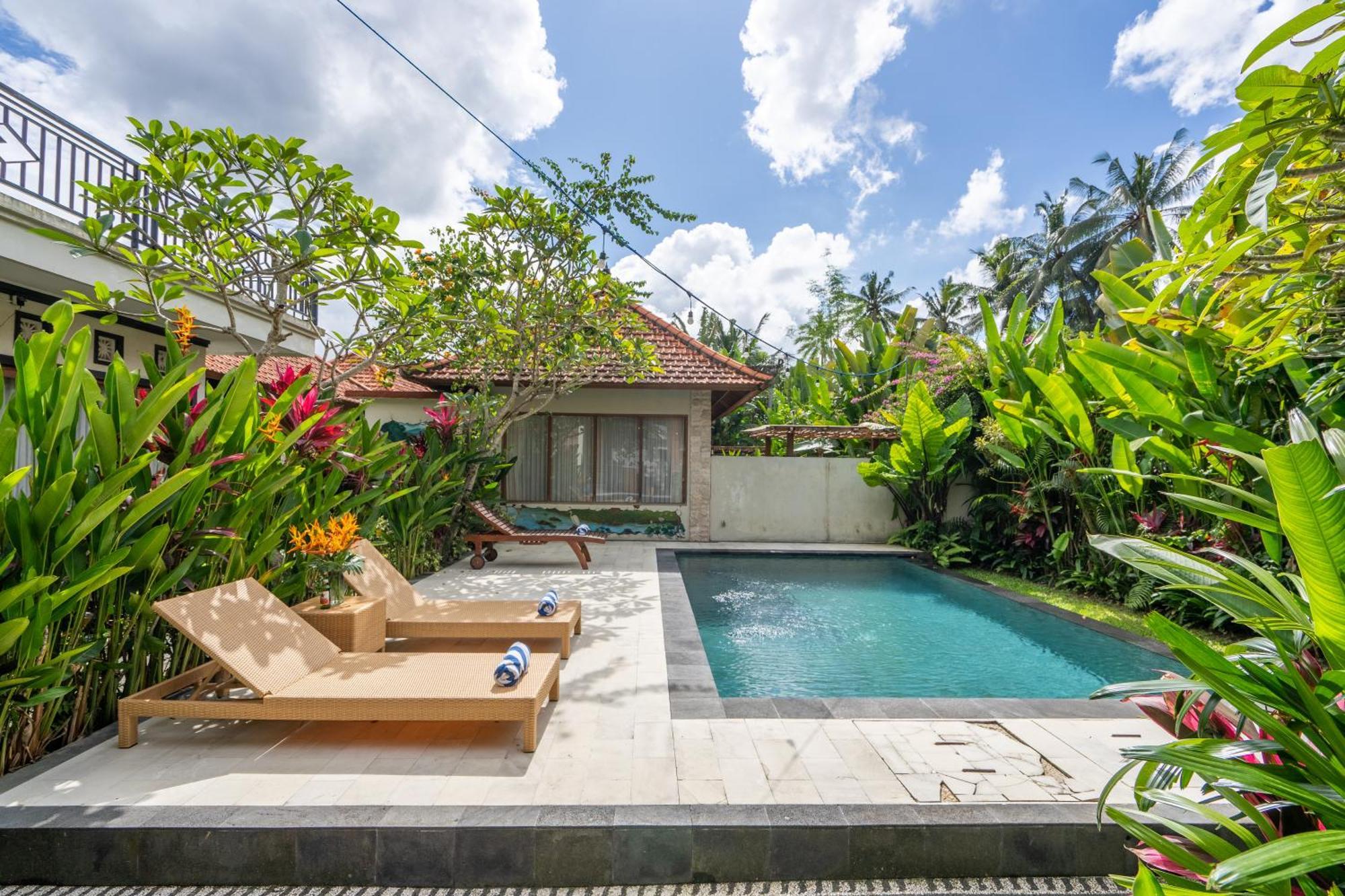3 Beagle Guest house