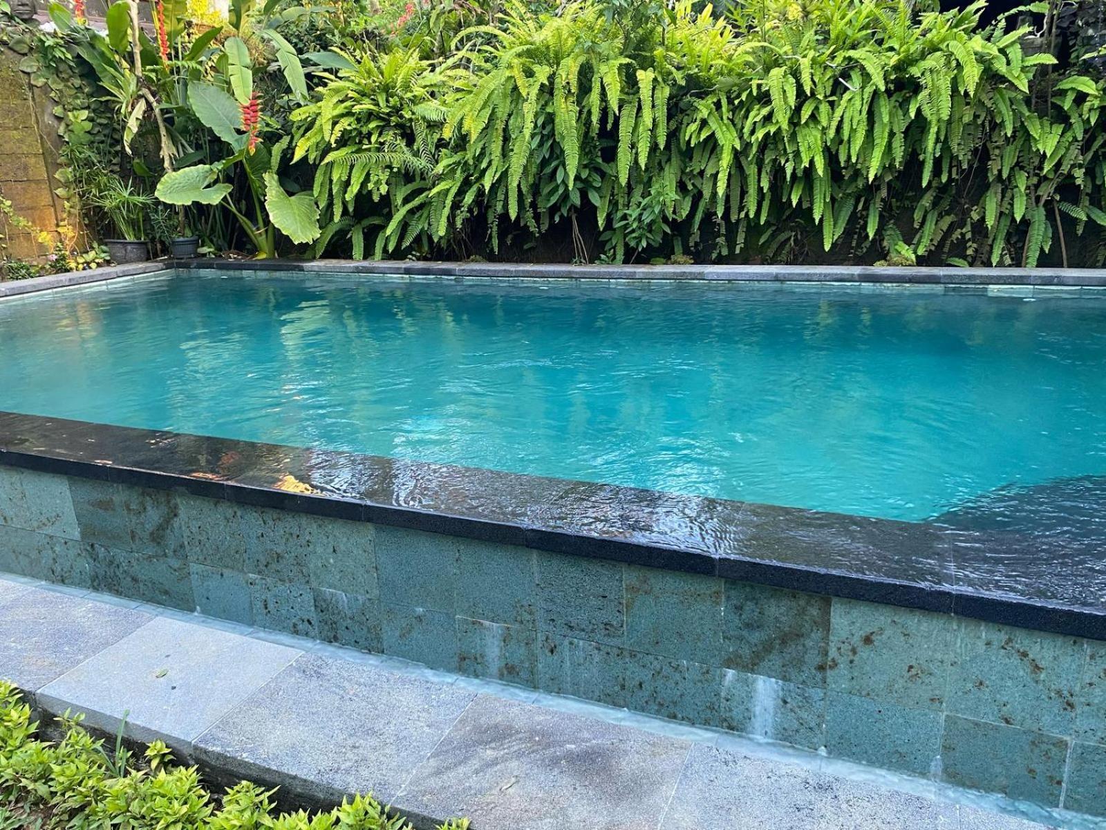 Guest house Sabar House Ubud (Bali)