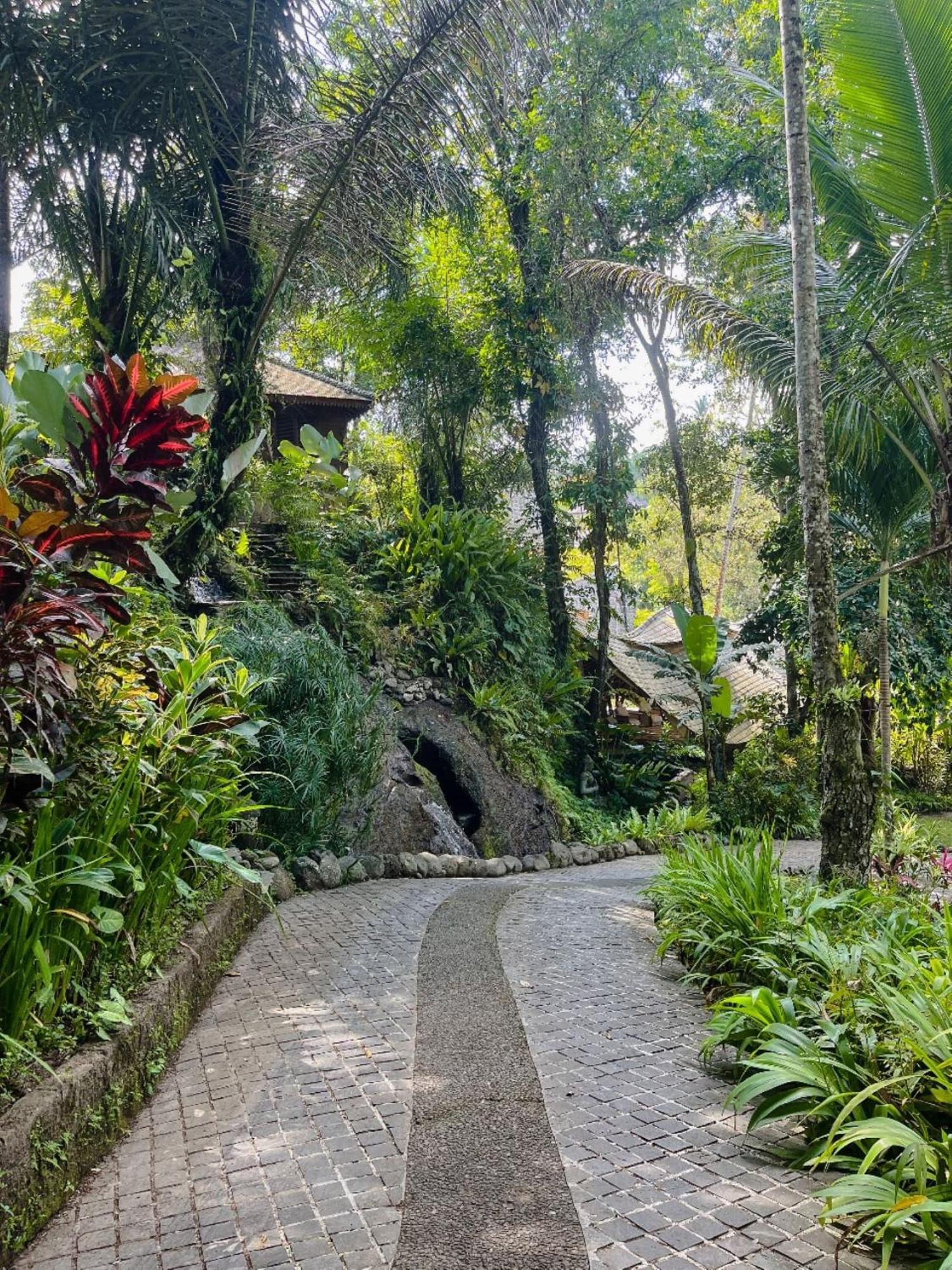 Permata Ayung Private Estate (adults Only)