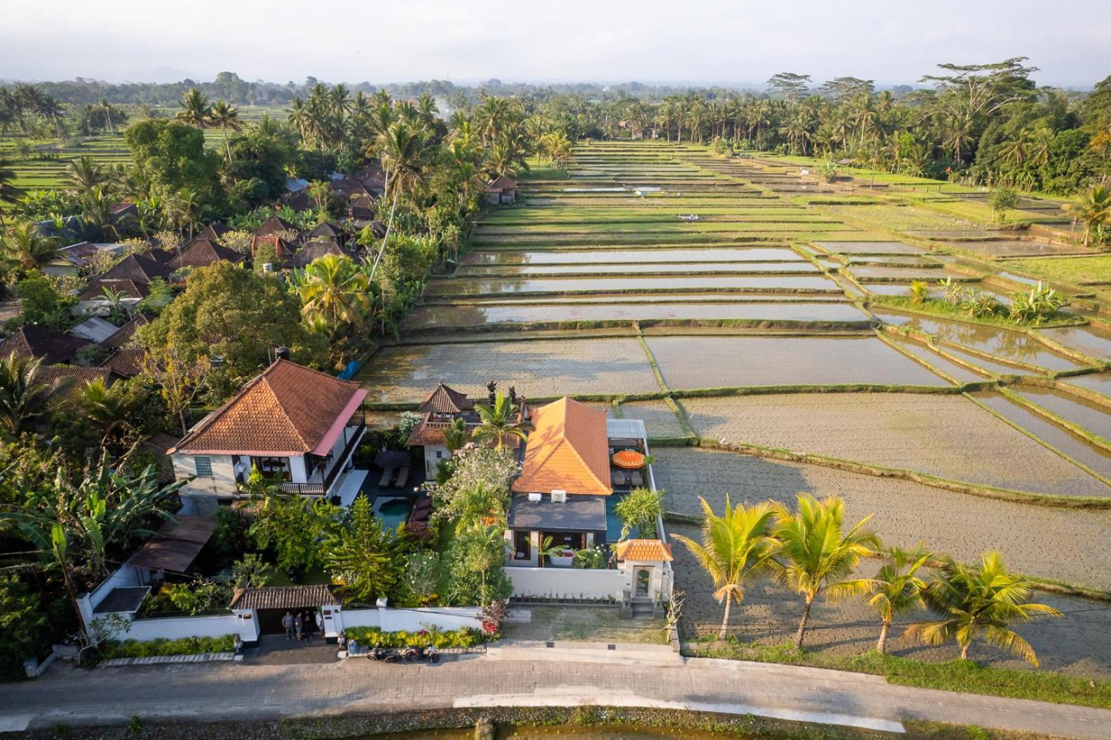 Dijero At Umah Bali