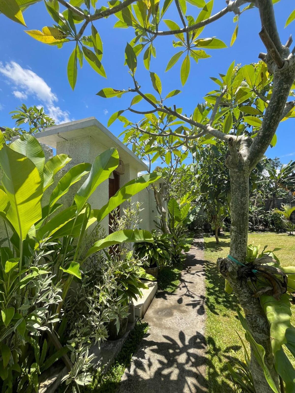 Orchid Private I Villa *