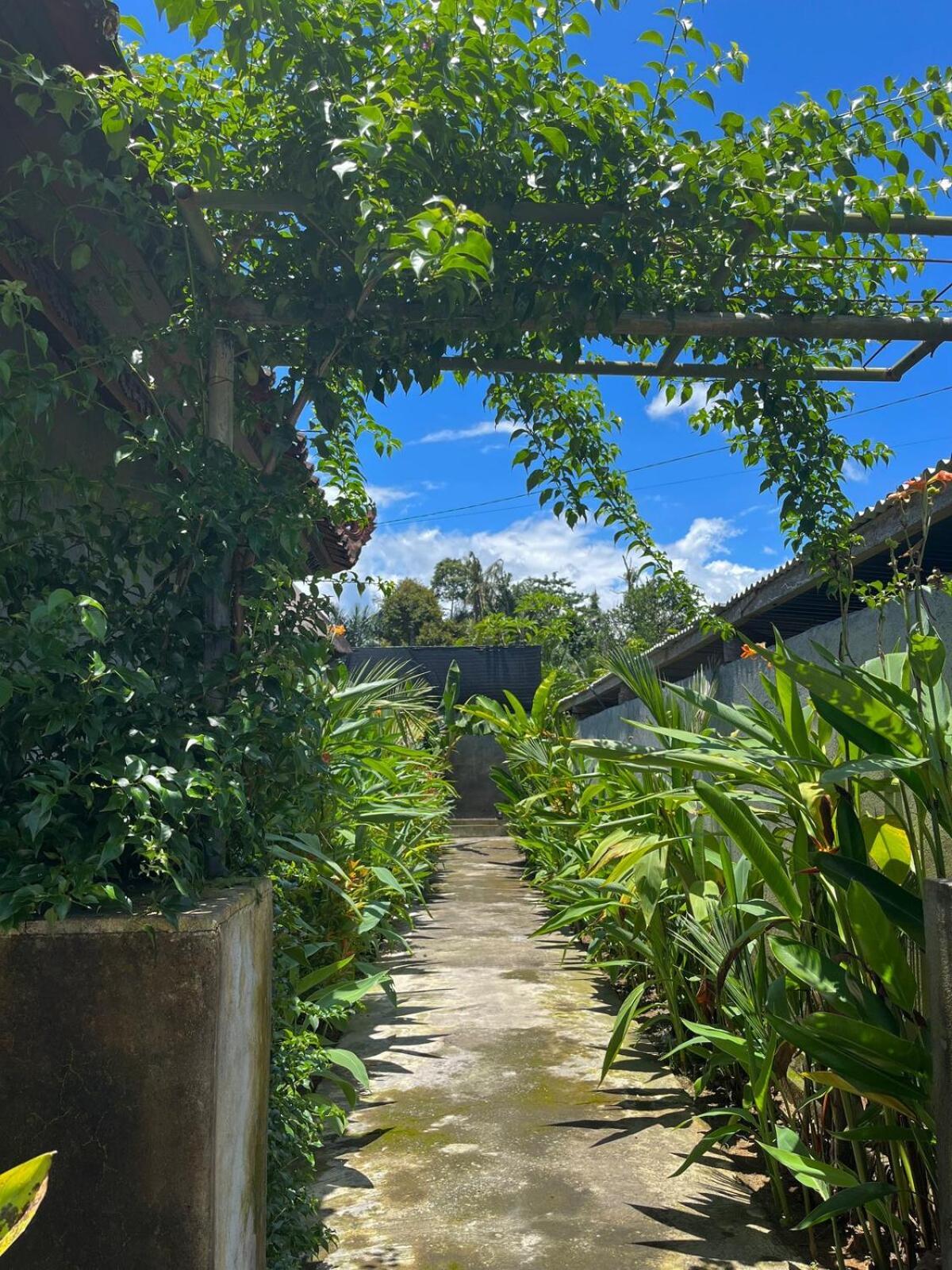 Villa Orchid Private I Ubud (Bali)