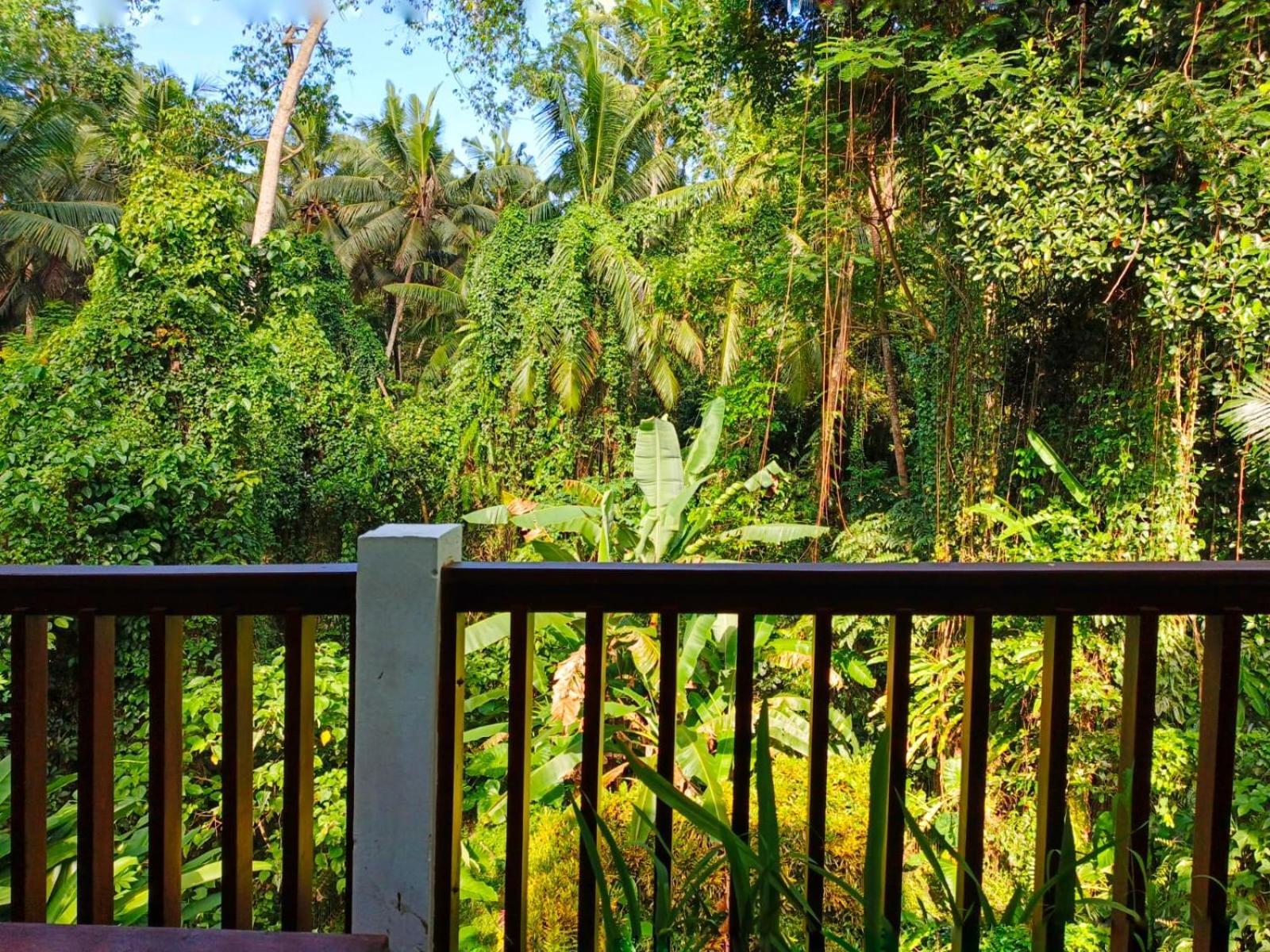 Malathi Quite House With Jungle View Lodge *