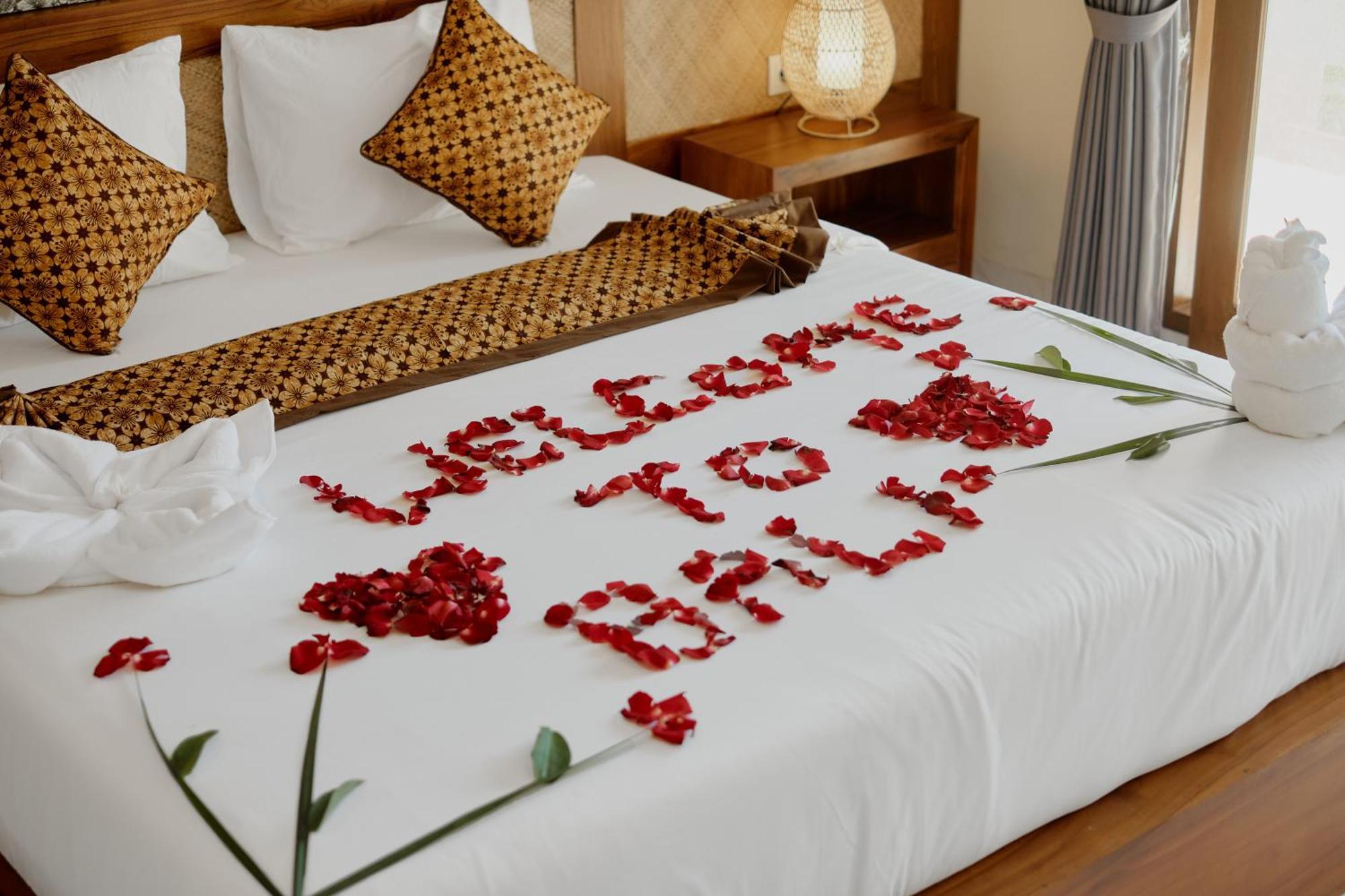 Ray Guest house *