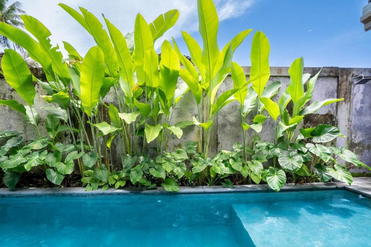 Yasmin - 2br Private Villa Ubud (Bali)