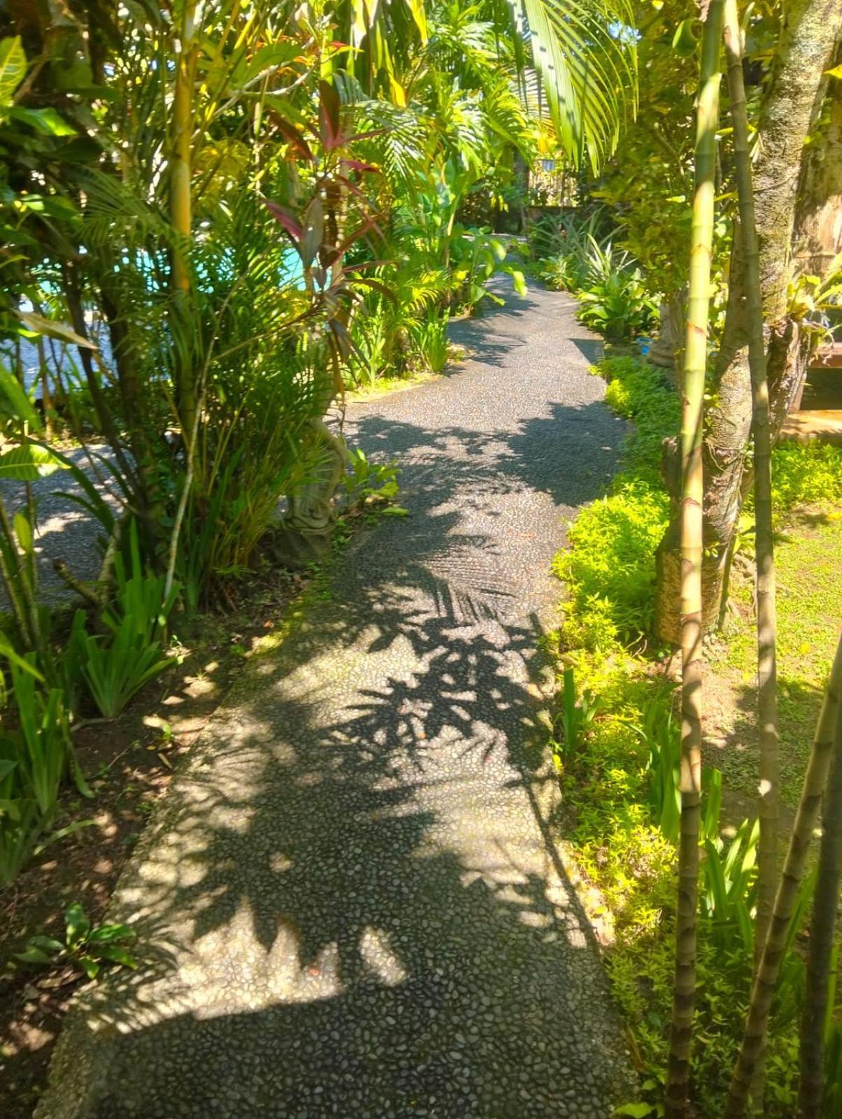 Apartment Jungle Hideaway - Newly Renovated Formerly Griya Bunga 2 - Unit 4 Ubud (Bali)