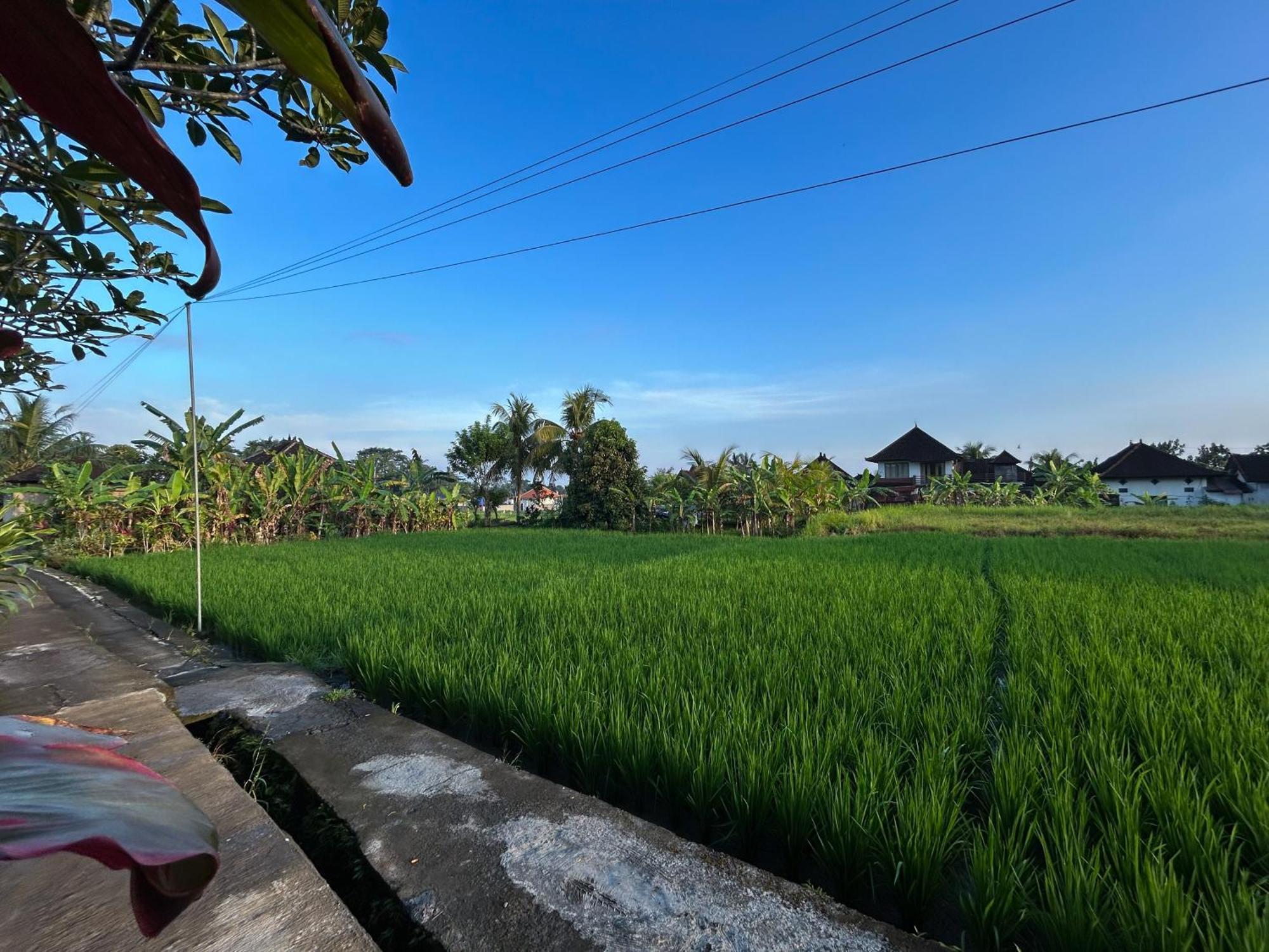 Bed & Breakfast Edi *