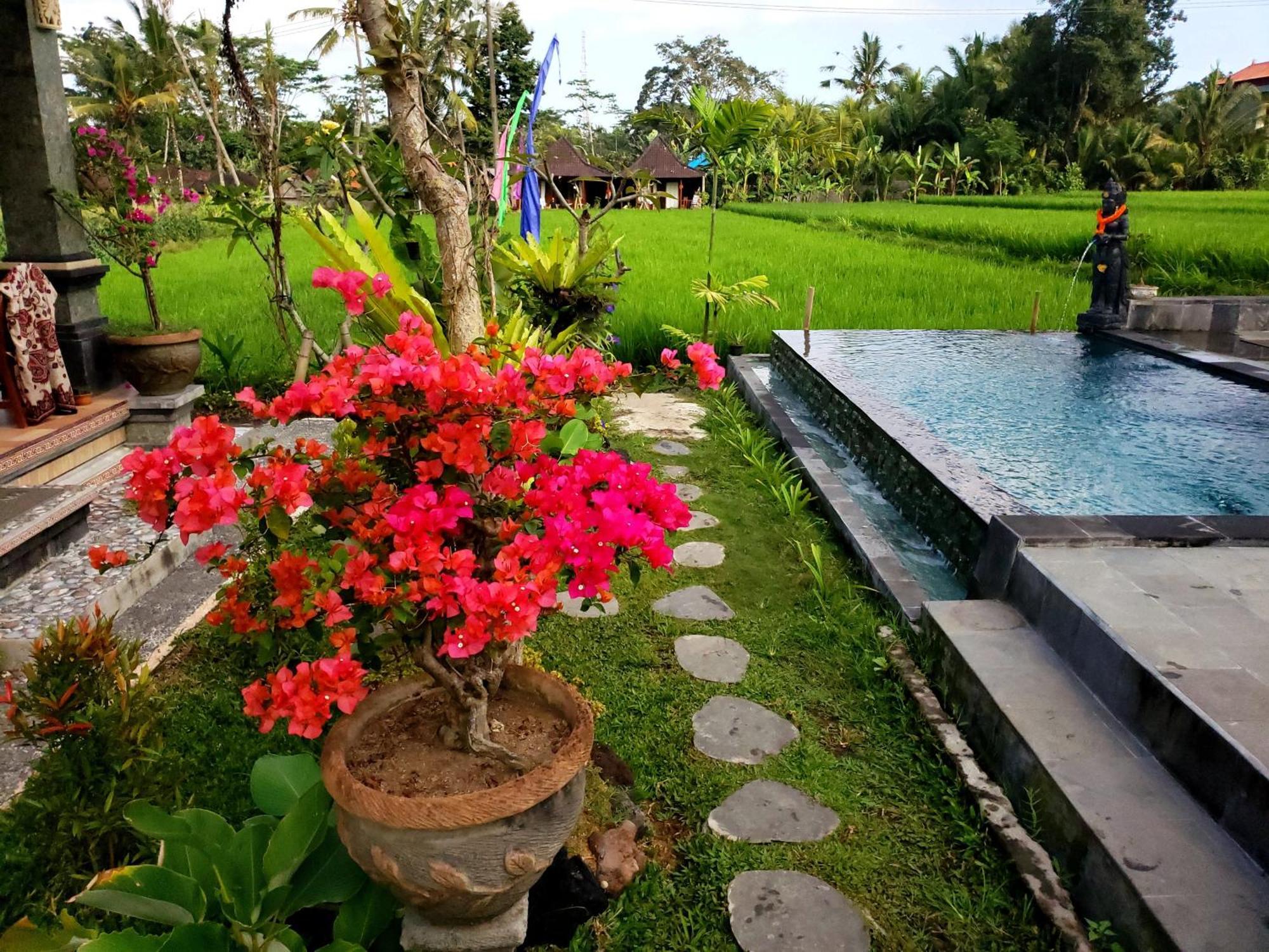Insenja & Resto * Ubud (Bali)
