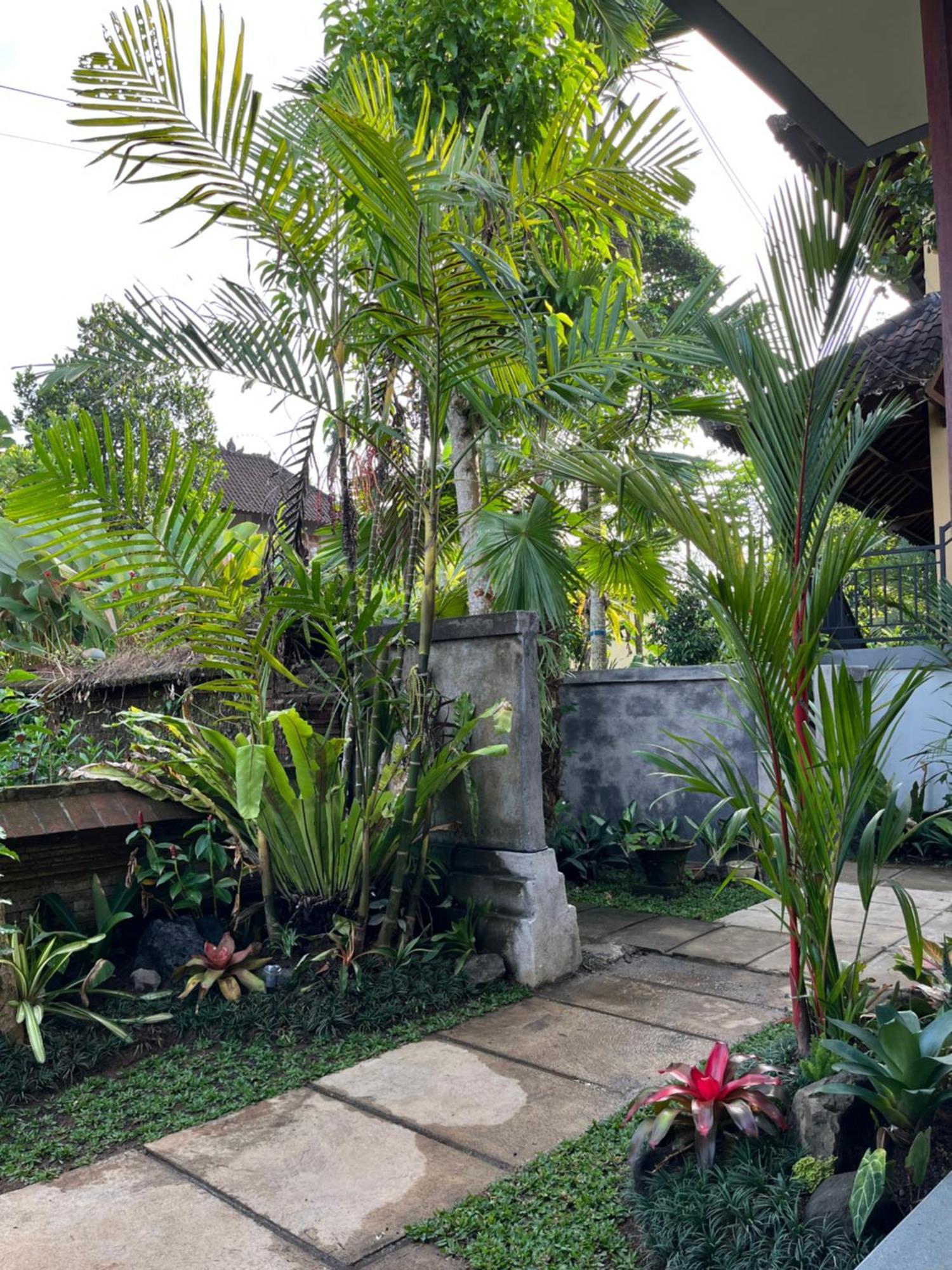 2br Hidden House * Ubud (Bali)