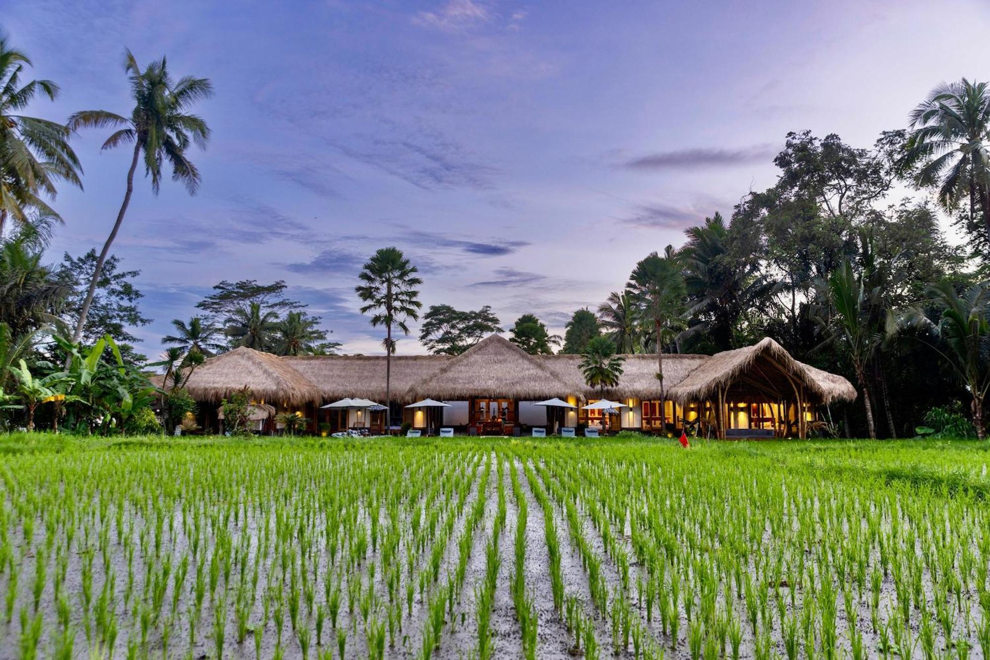 Hotel Jepun