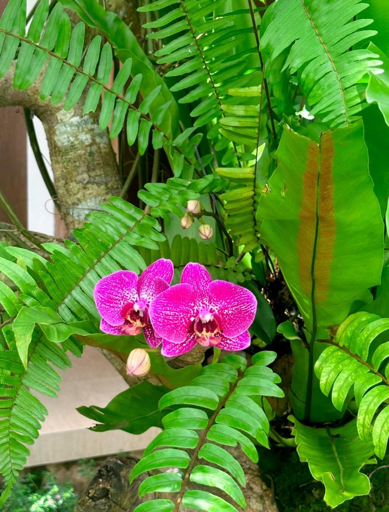 Villa Mandala Paradise *