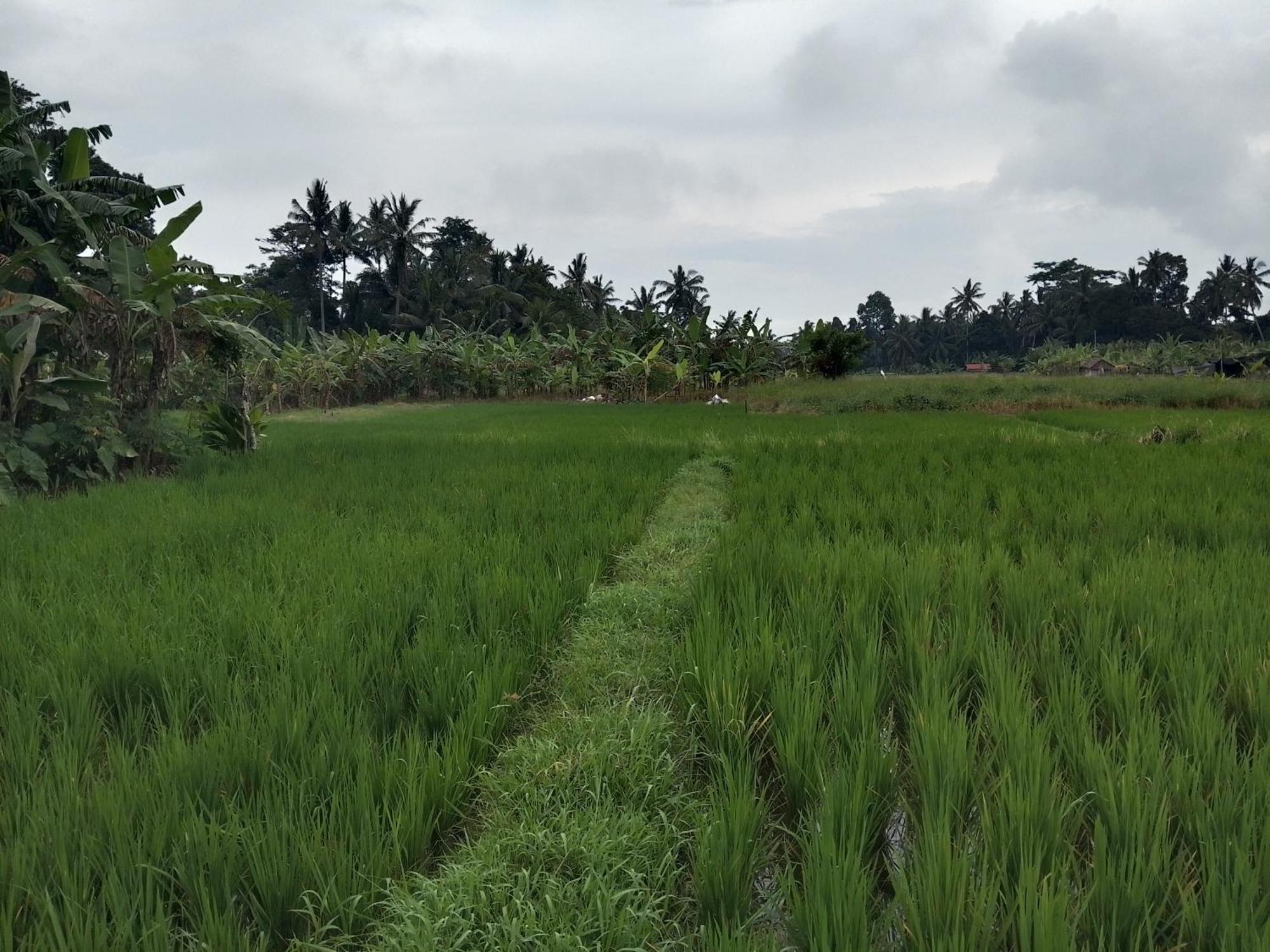 Villa Tenang *