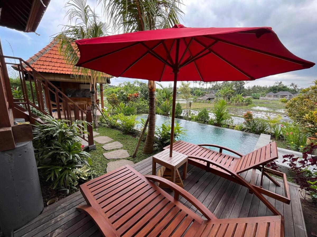 Ijo Garden *
