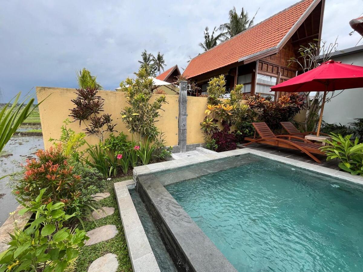 Villa Ijo Garden