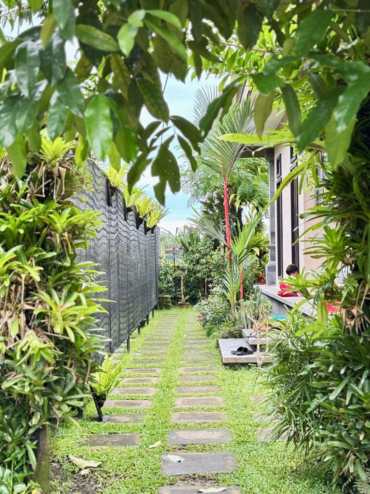 Homestay Umah Made Bali & Art Space