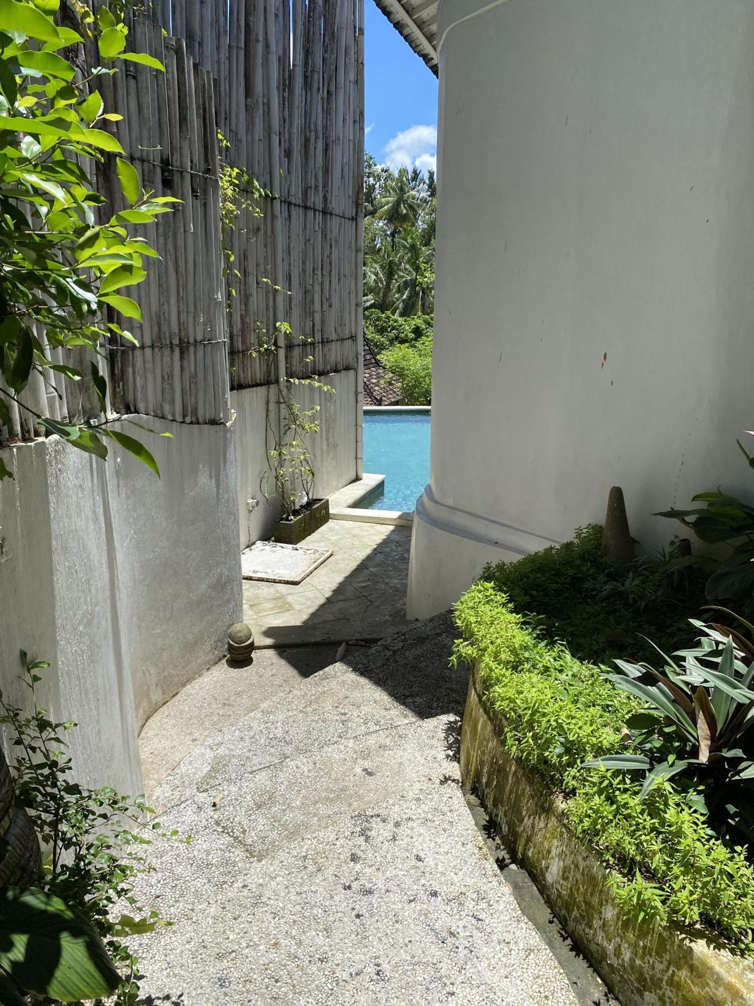 Artist - Luxury 3bdr Private Pool Villa Ubud (Bali)
