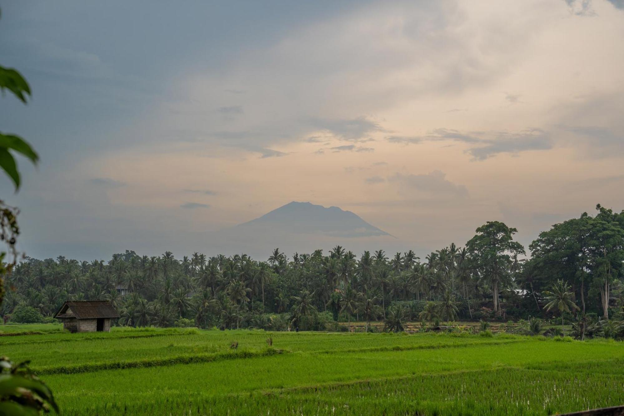 Kayu Senses - Private Around Endless Ricefield