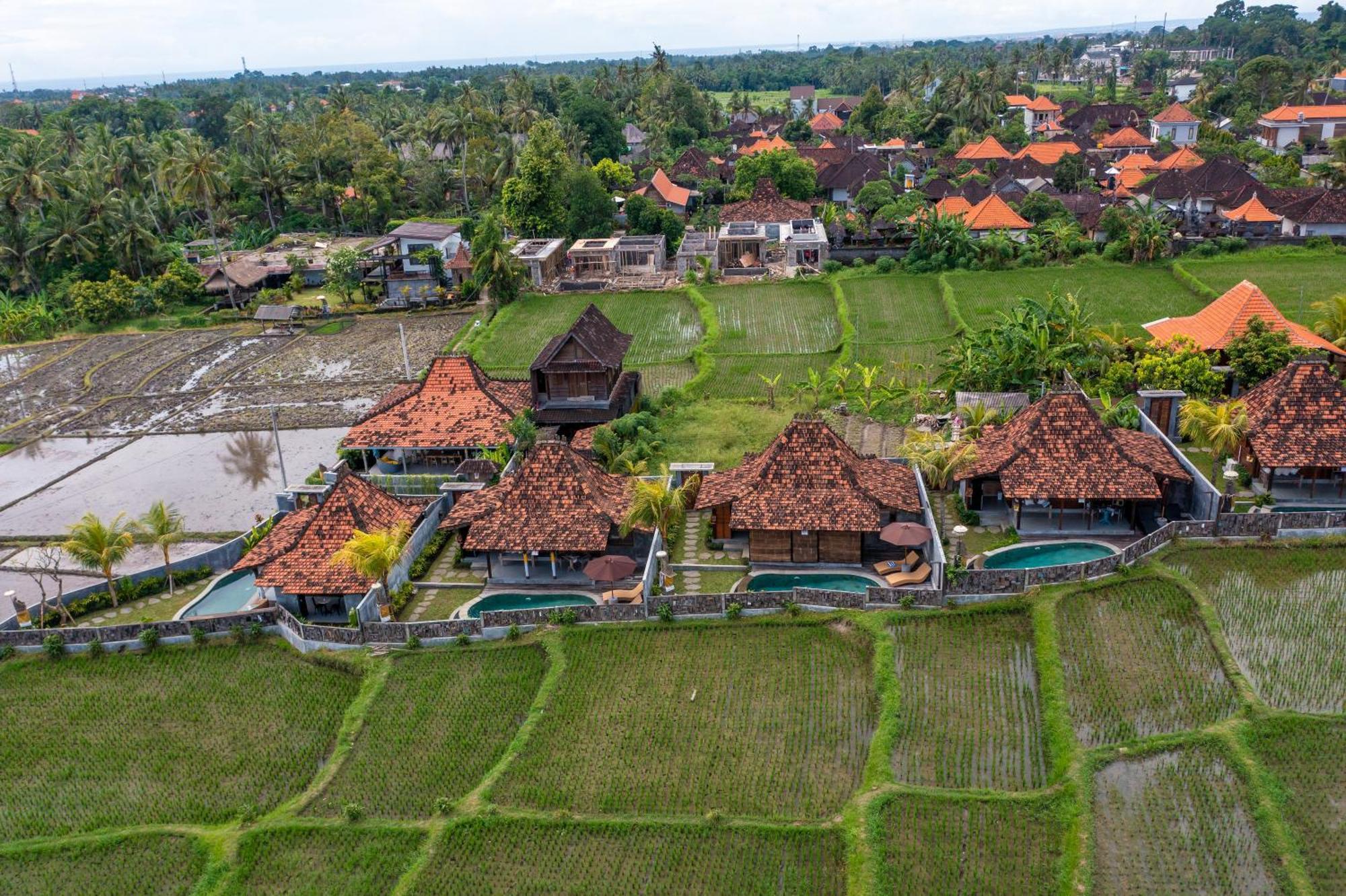 Kayu Senses - Private Around Endless Ricefield *