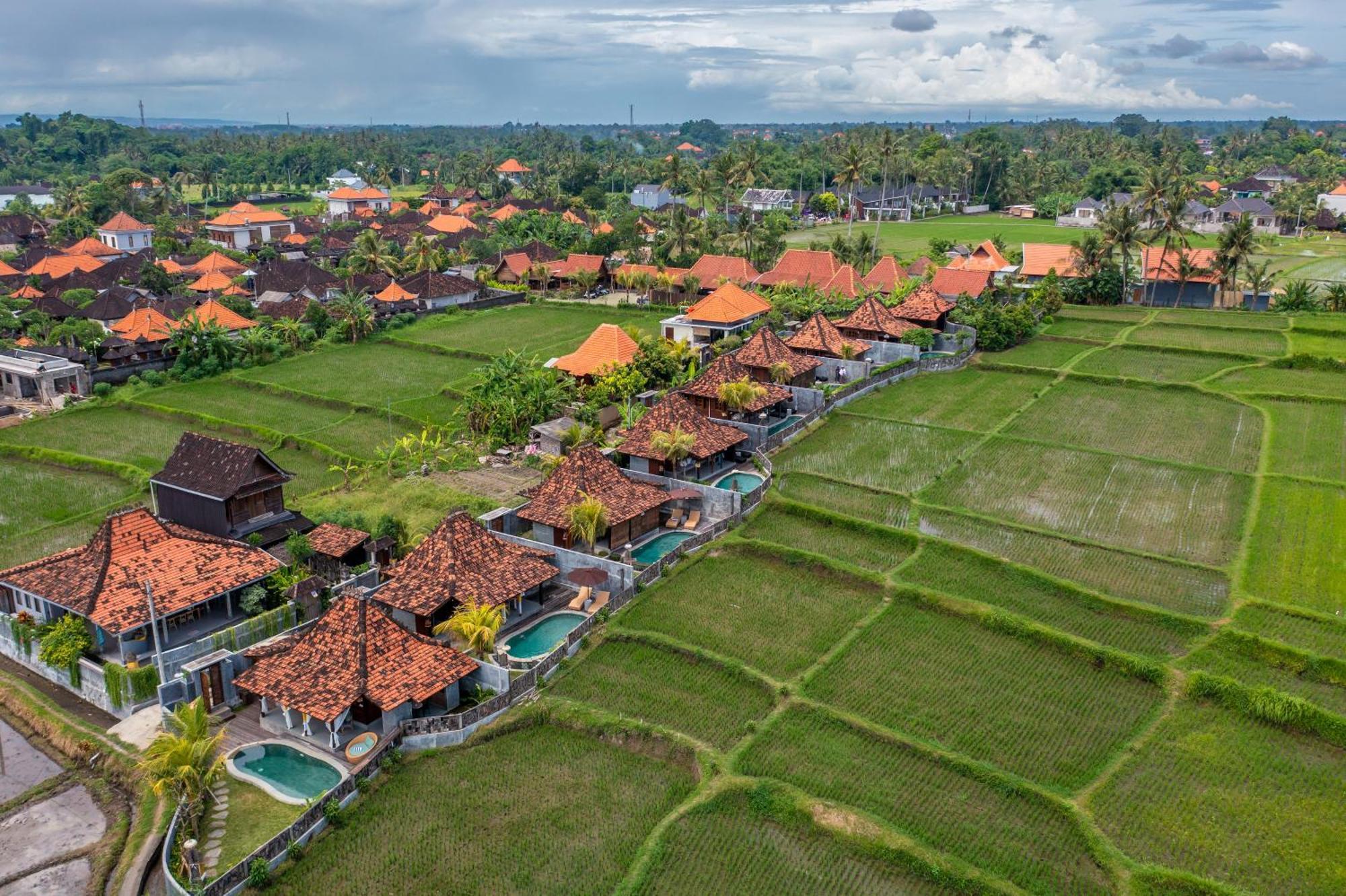 Kayu Senses - Private Around Endless Ricefield Ubud (Bali)