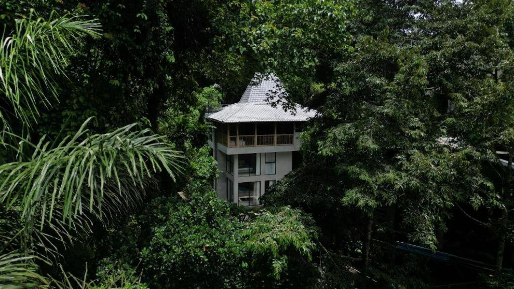 Bamboolina Art Villa *