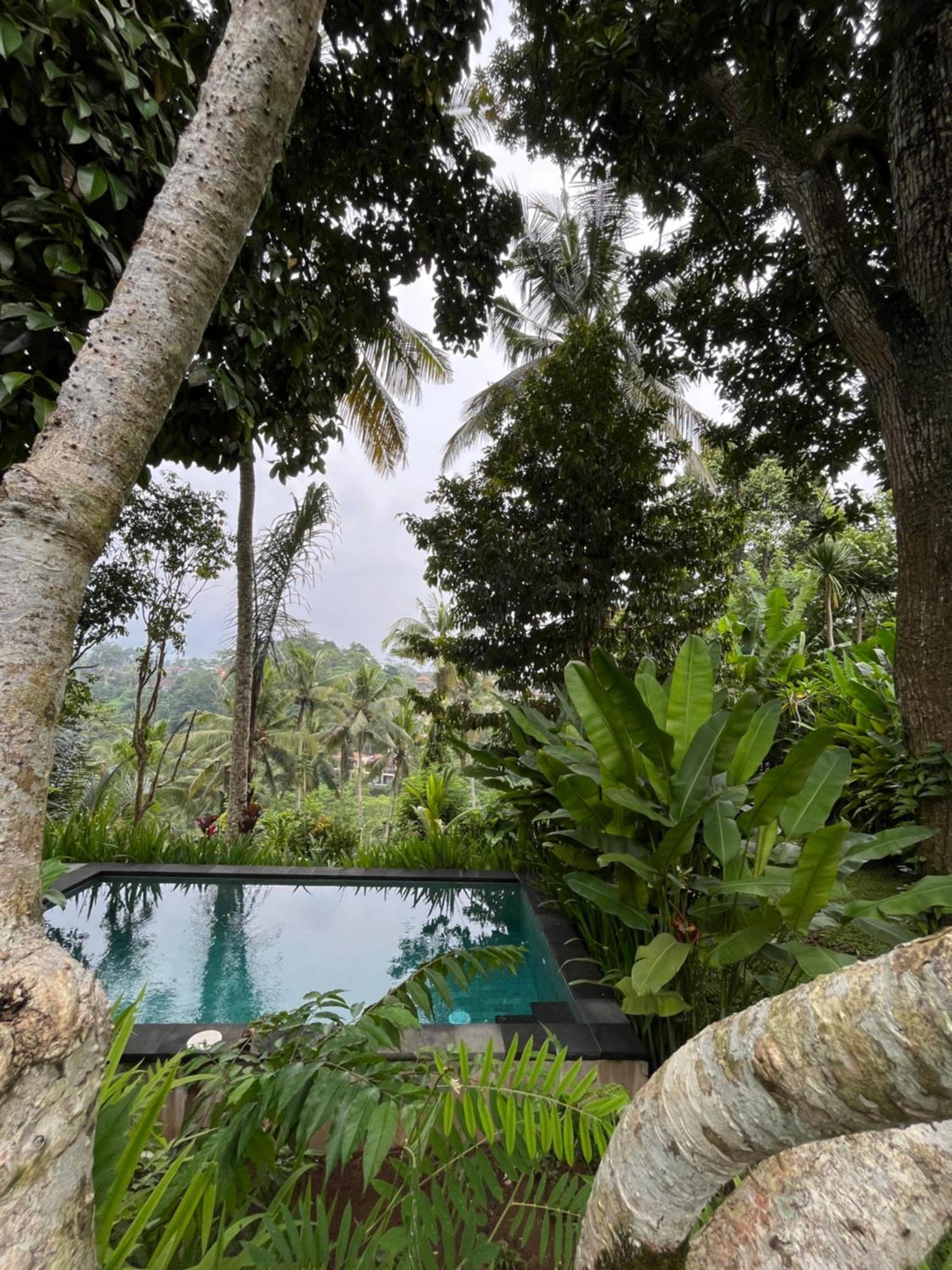 Guest house House Of Joy By Bcg Ubud (Bali)