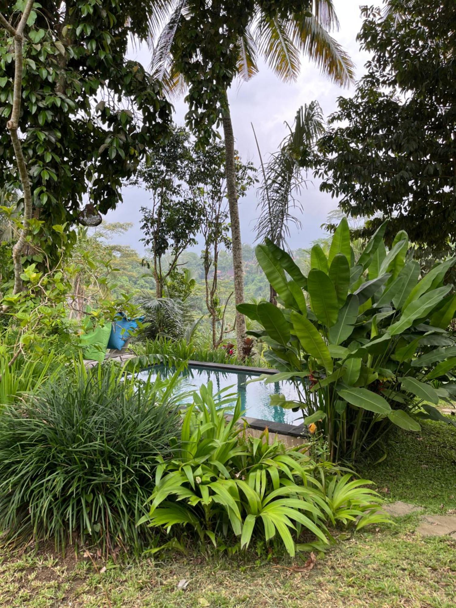 House Of Joy By Bcg Guest house *