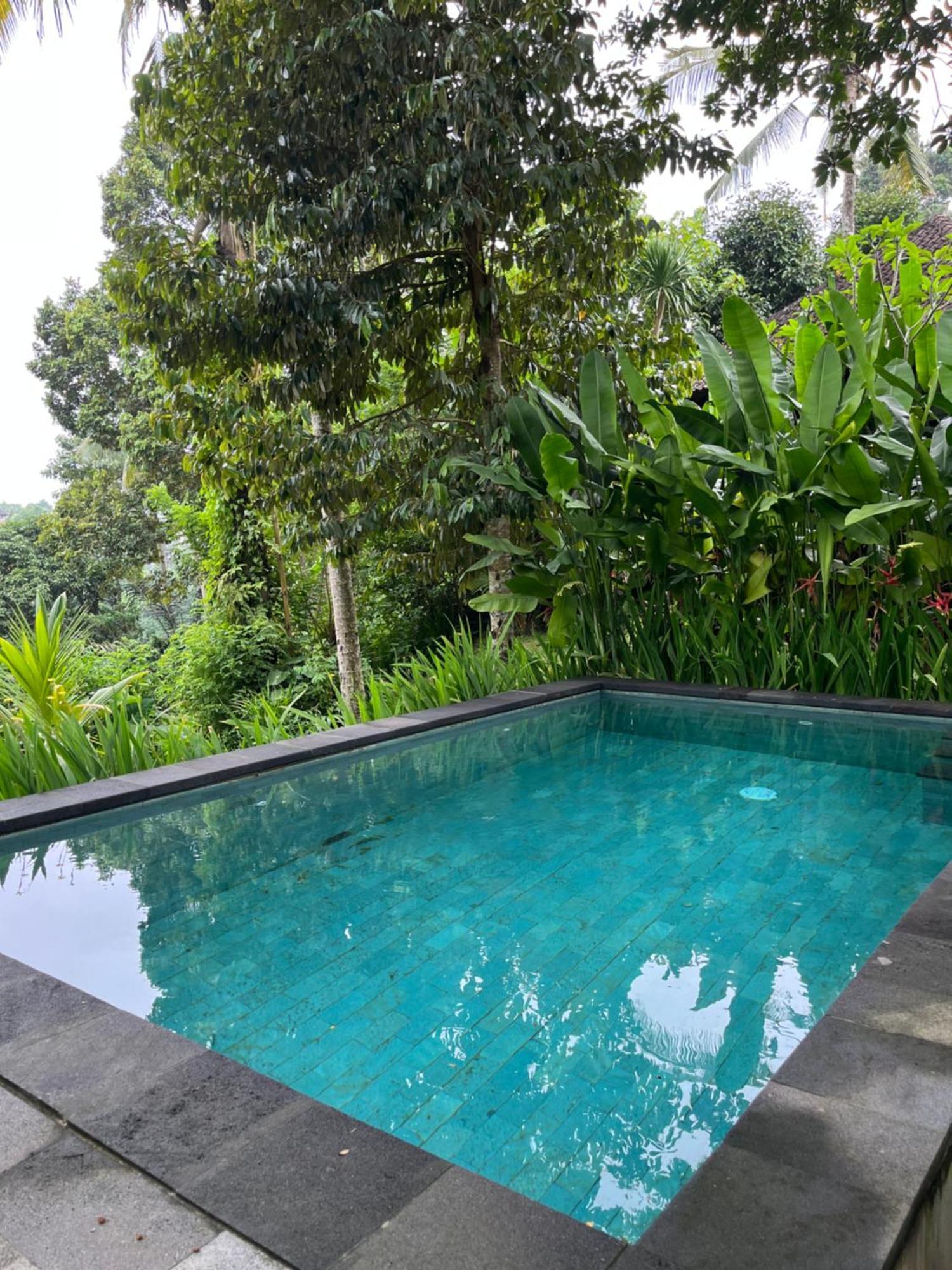House Of Joy By Bcg *