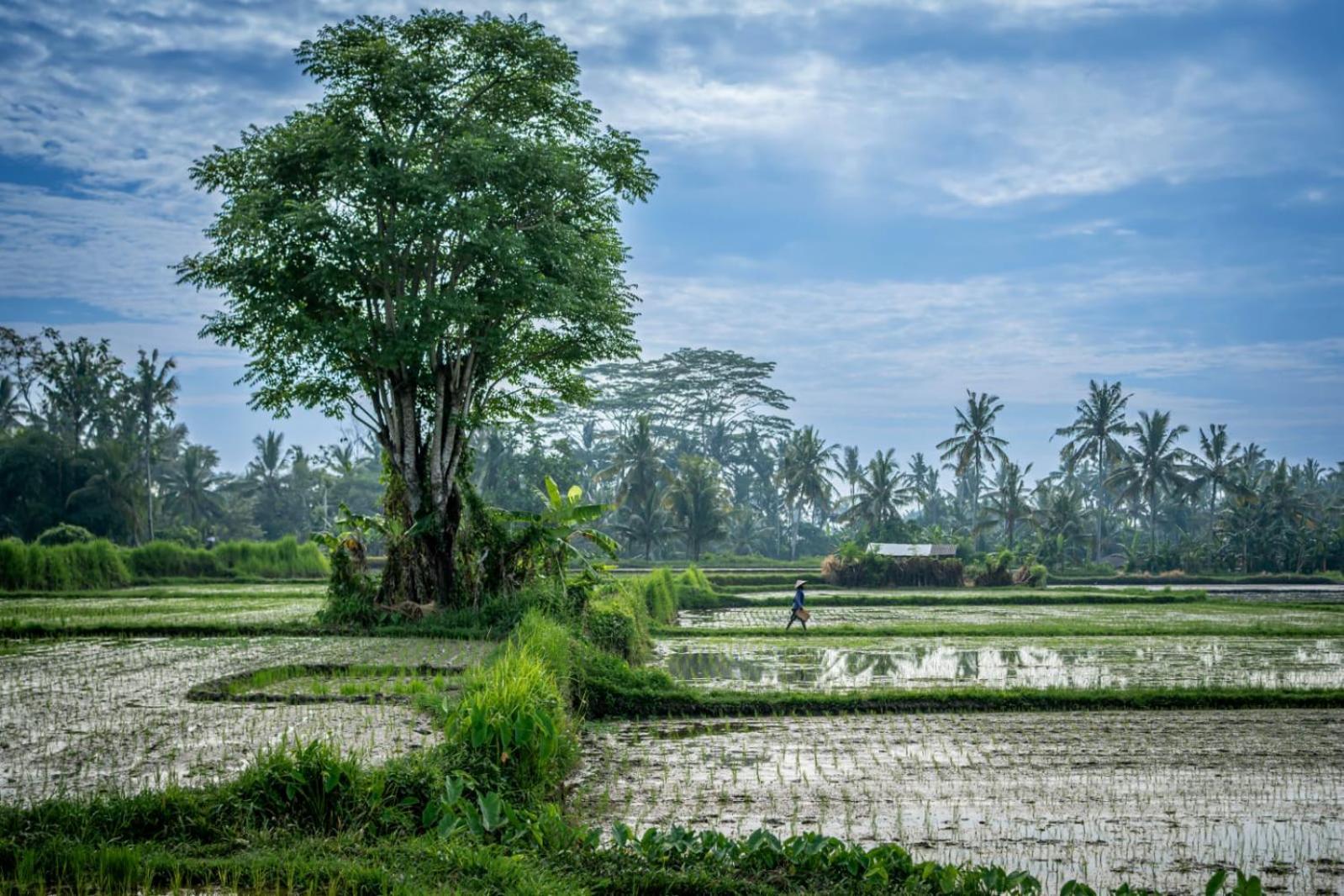 The Queen Bamboo Villa