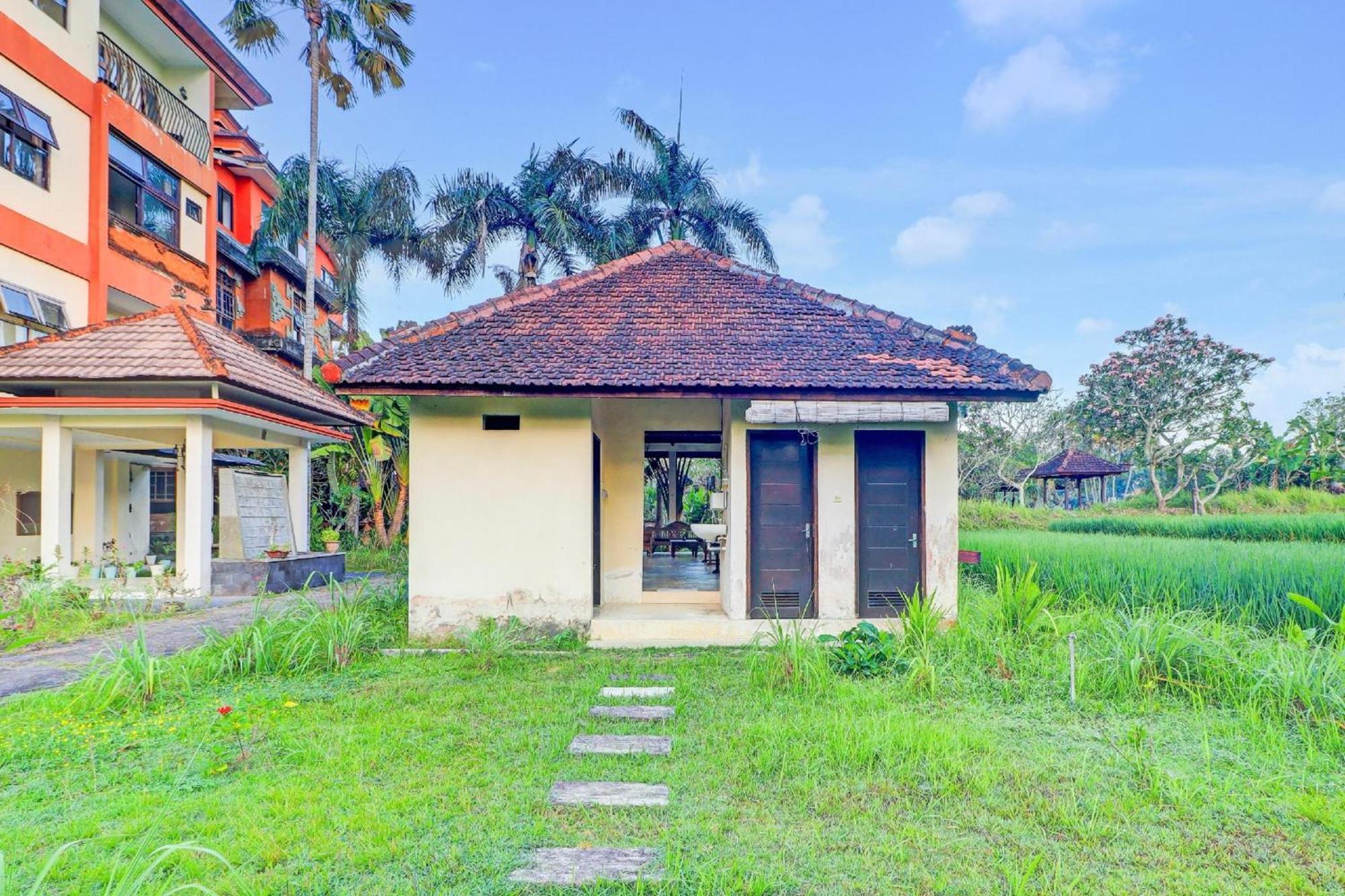 Collection O Near Formerly Suly