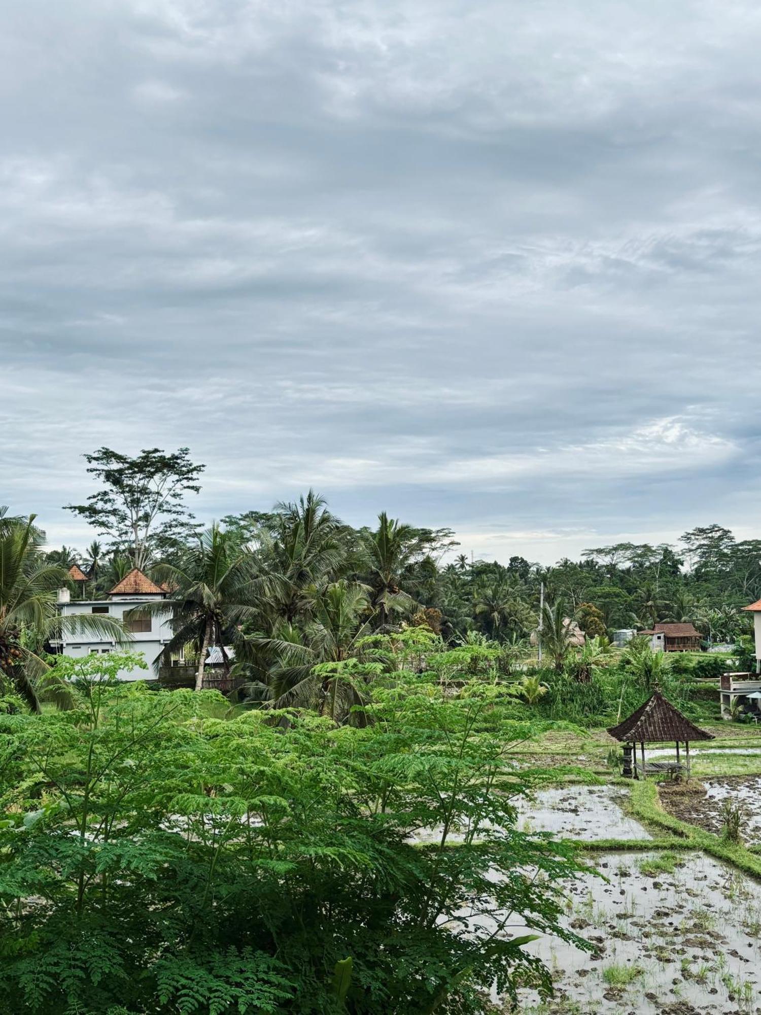 Homestay Umah Made Bali & Art Space Ubud (Bali)