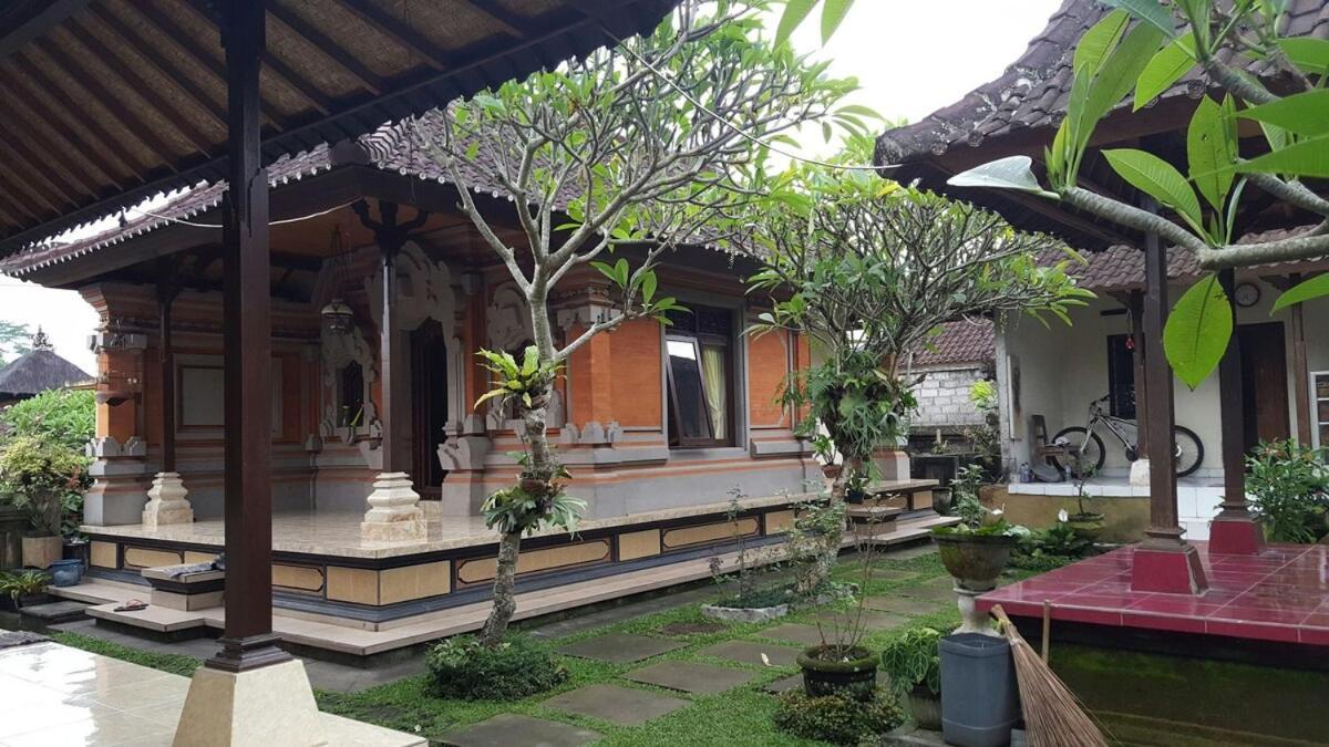 Apartment 2br Jungle House In The Edge Of